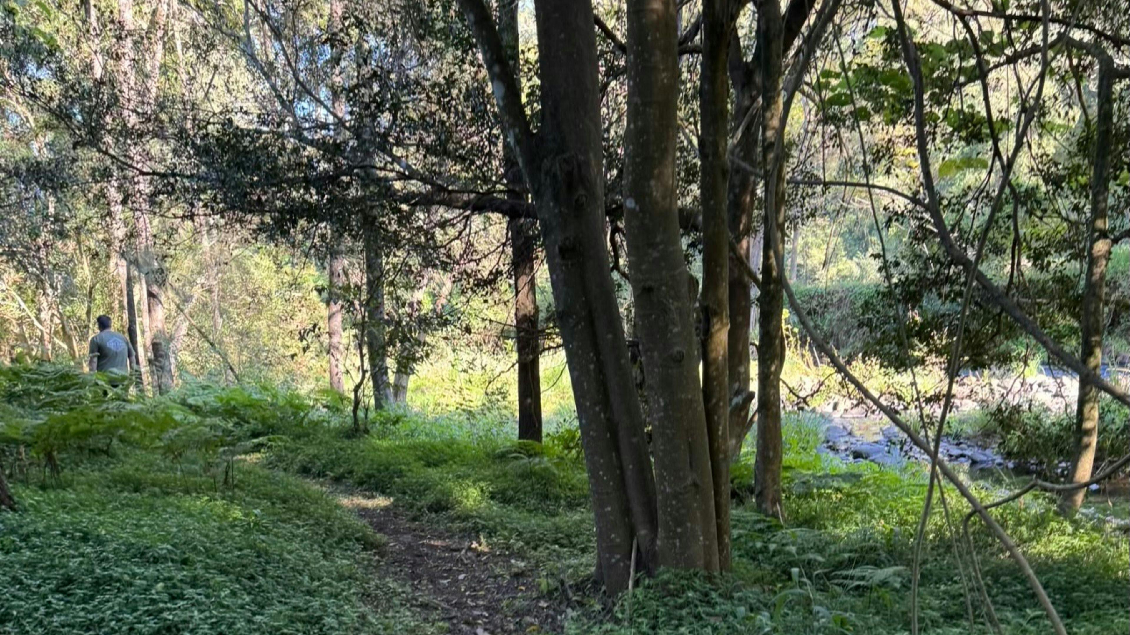 Warrazambil Creek Camp