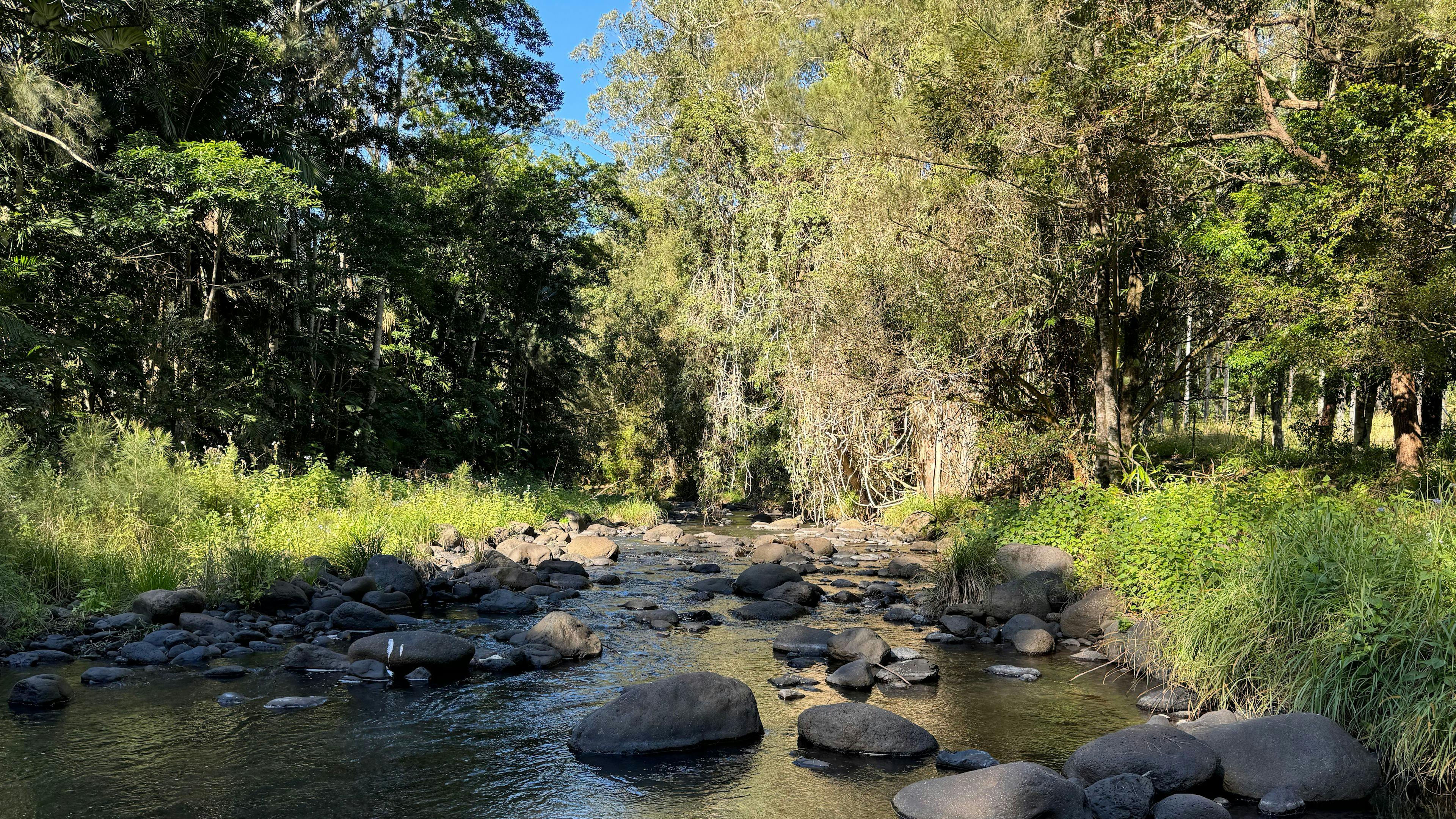 Warrazambil Creek Camp
