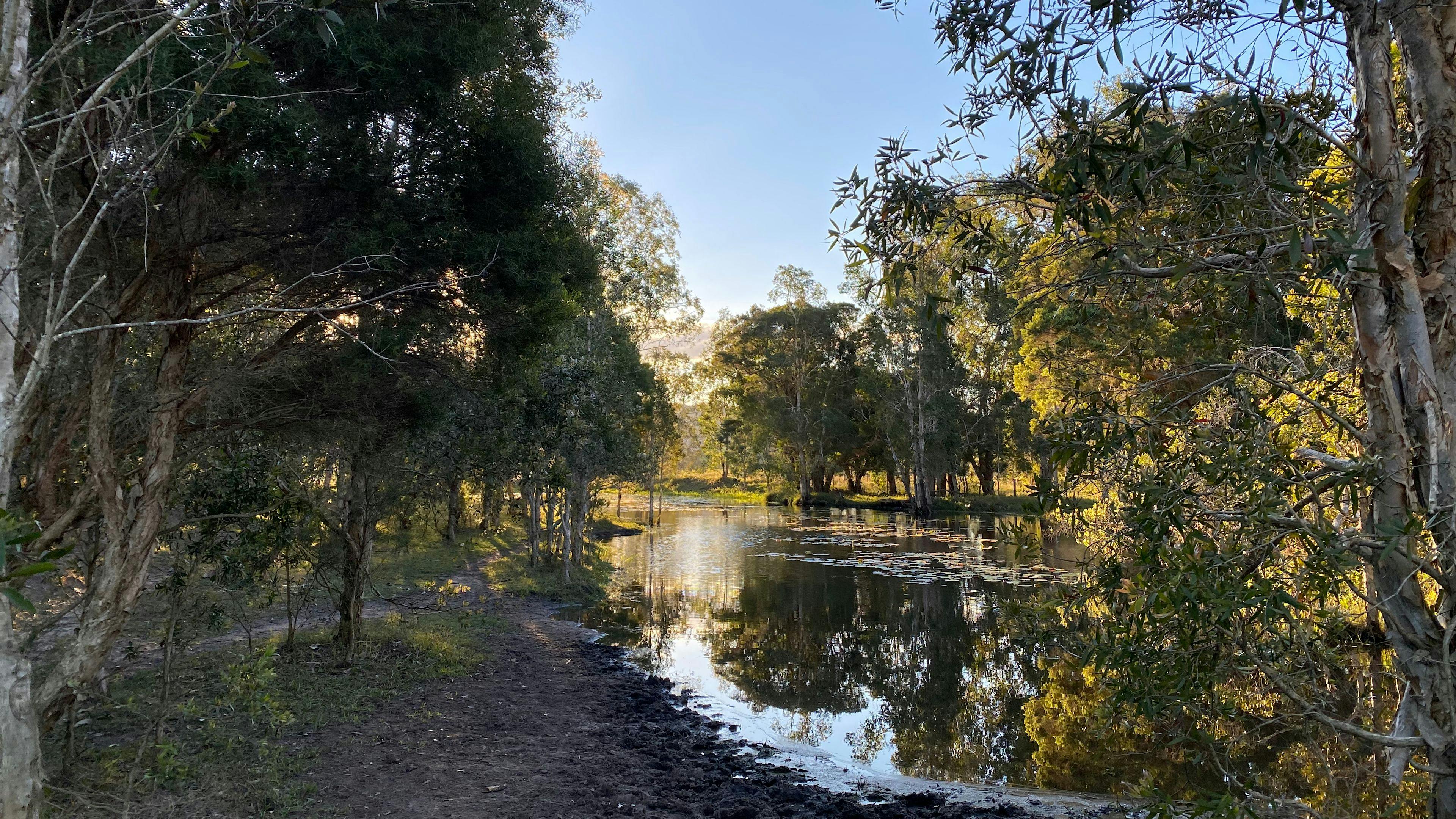 Warrego Warmblood Stud