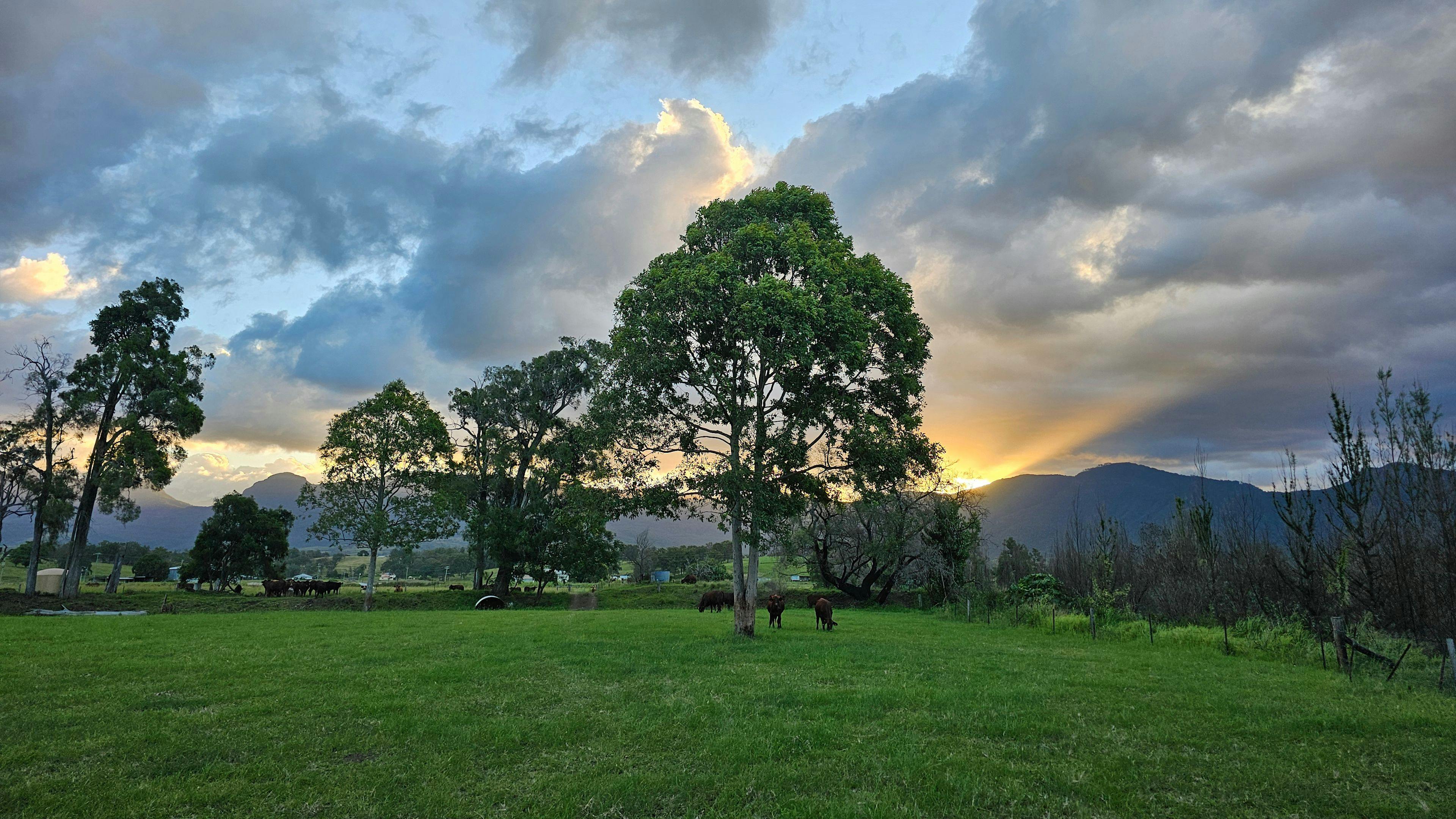 Warrill Creek Camping
