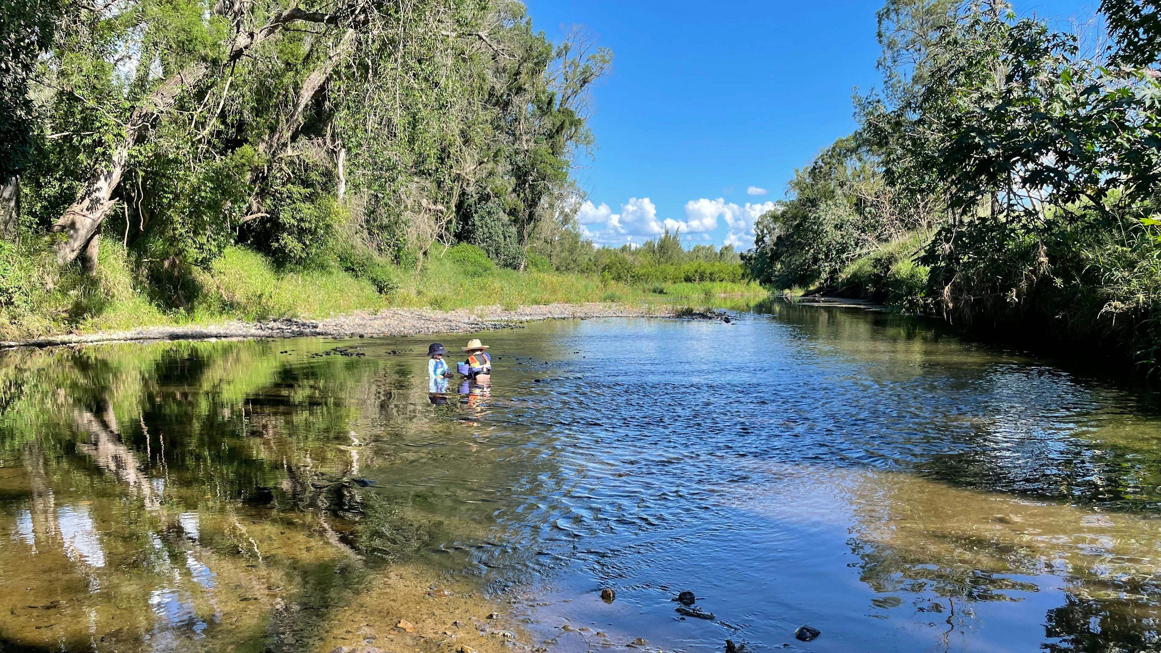 Warrill Creek Camping