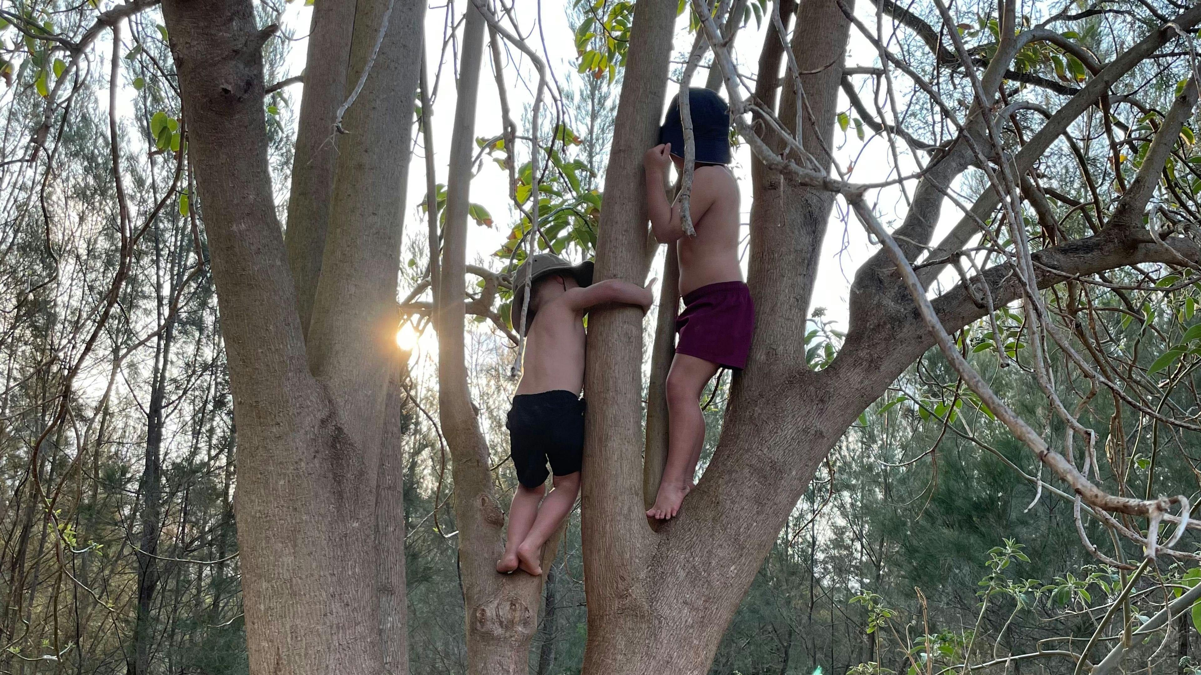 Warrill Creek Camping