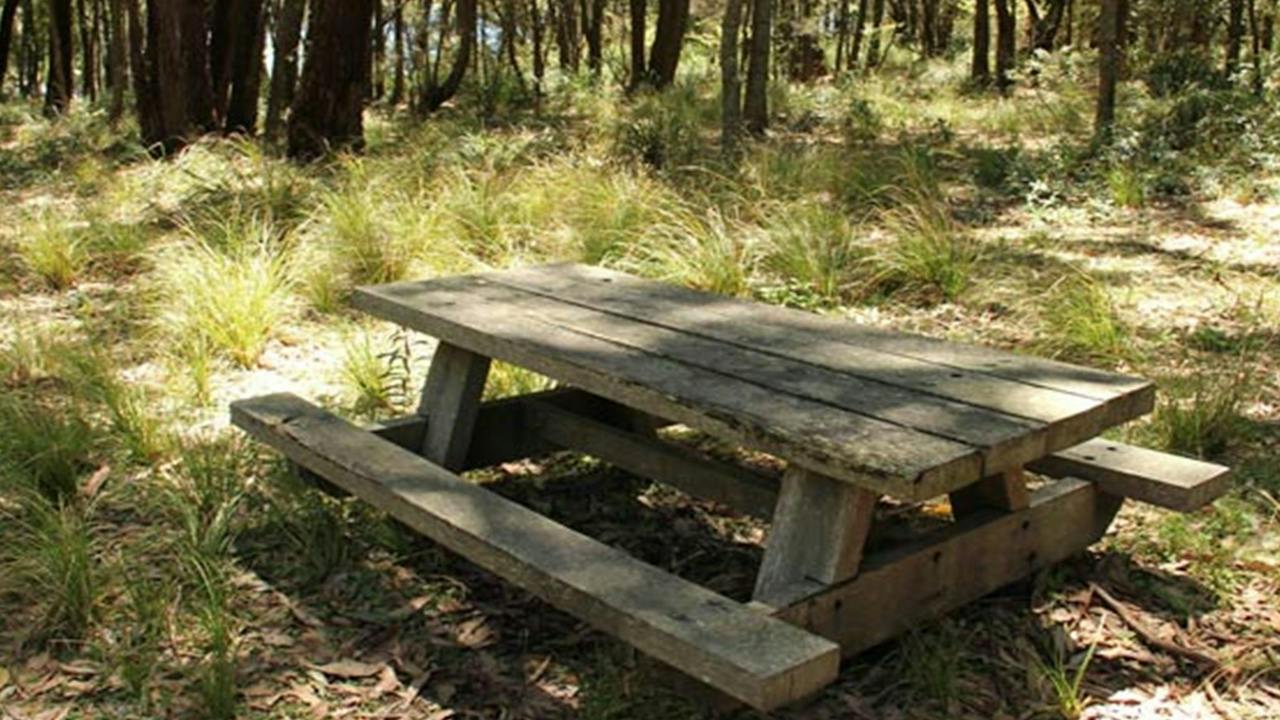 Wasp Head picnic area