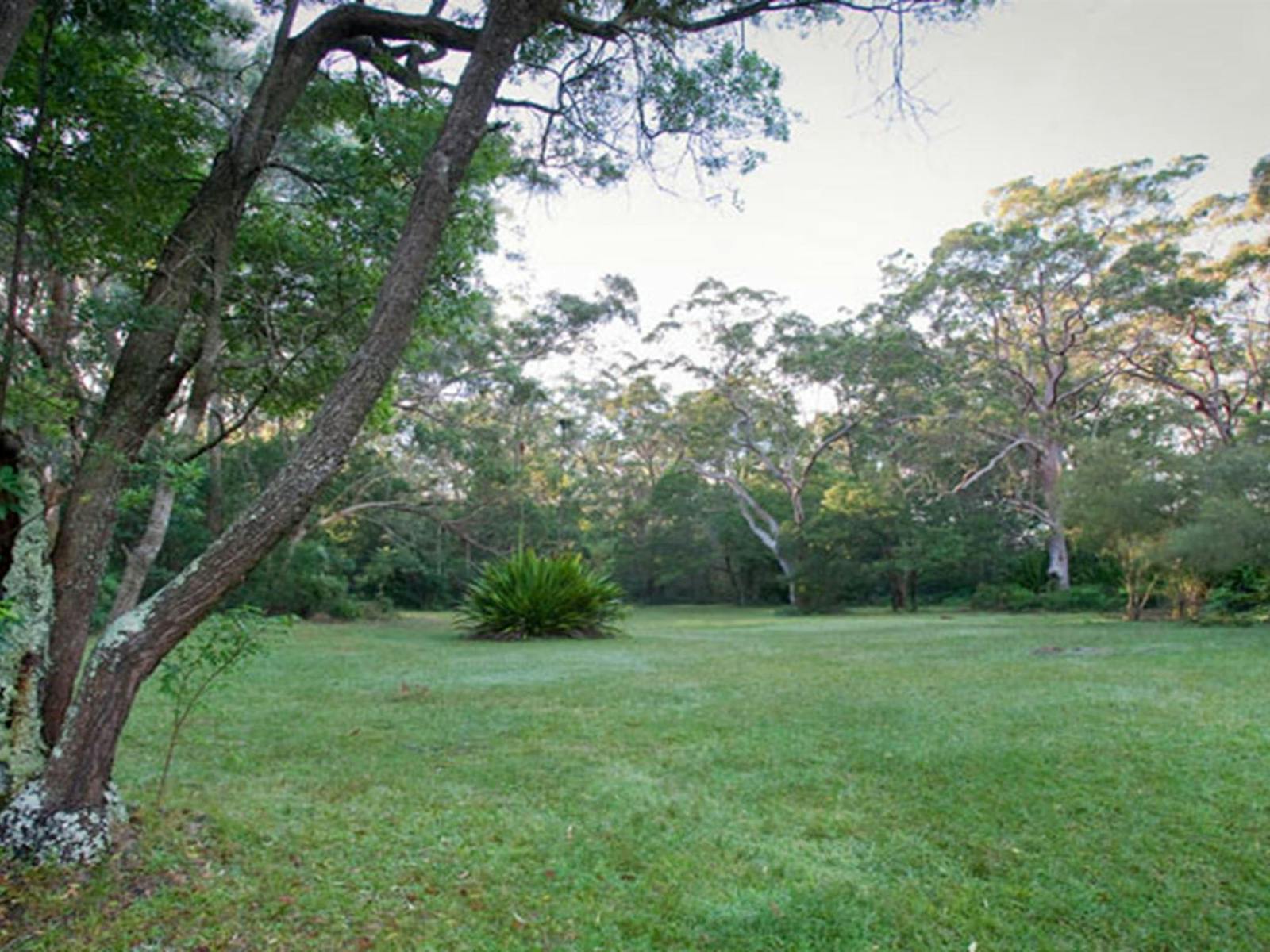 Waterfall Flat picnic area, Royal National Park. Photo: Nick Cubbin © OEH