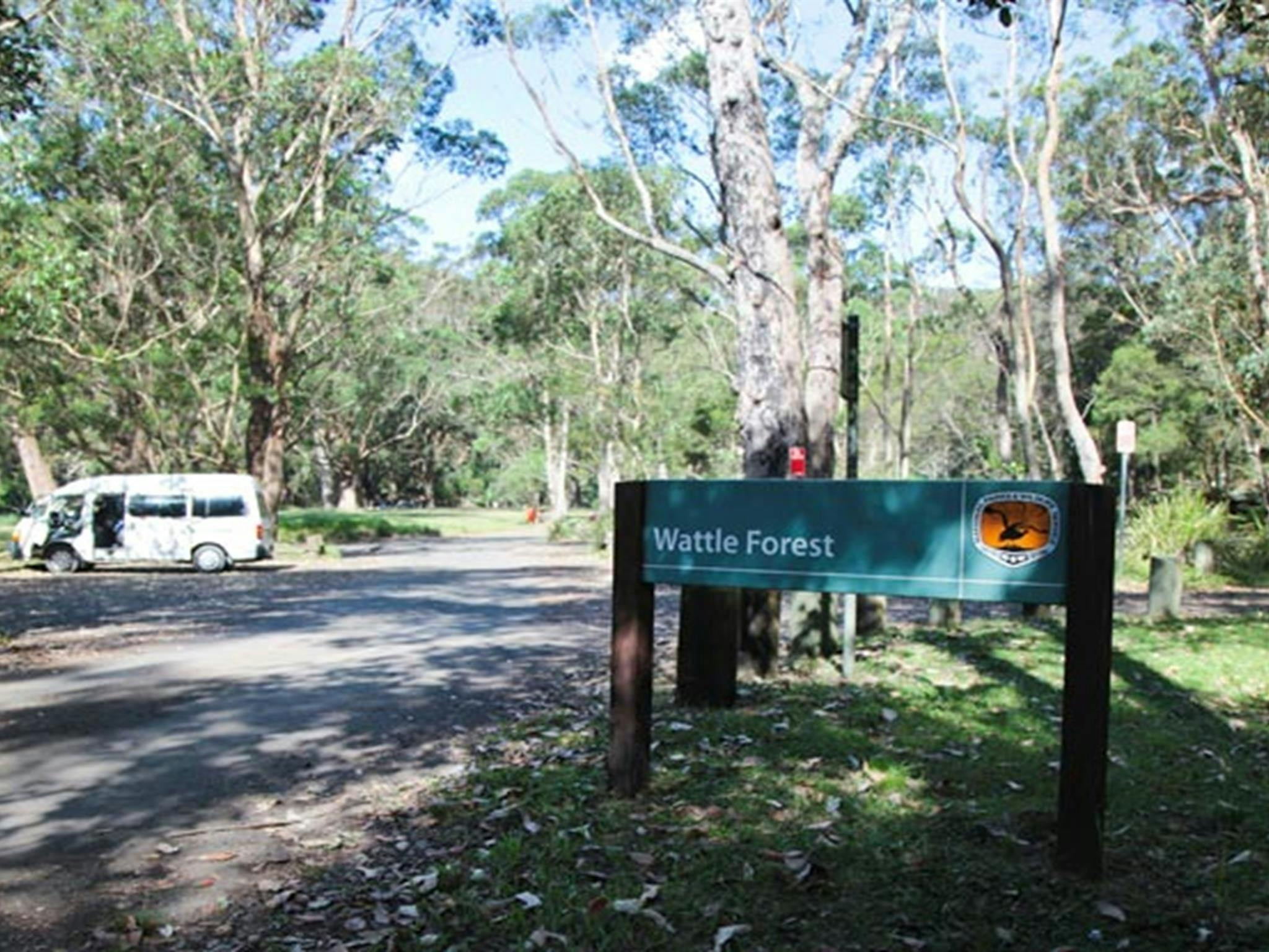 Wattle Forest picnic area