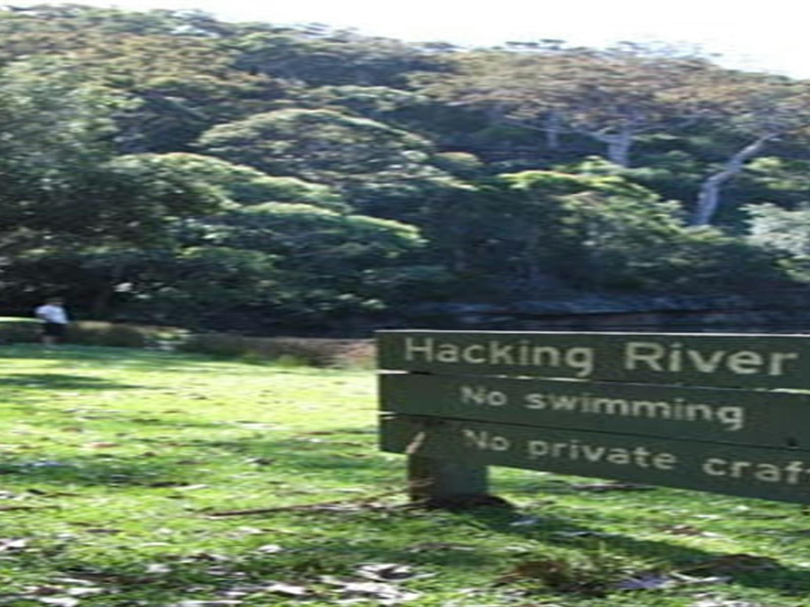 Wattle Forest picnic area, Royal National Park. Photo: Andy Richards/NSW Government