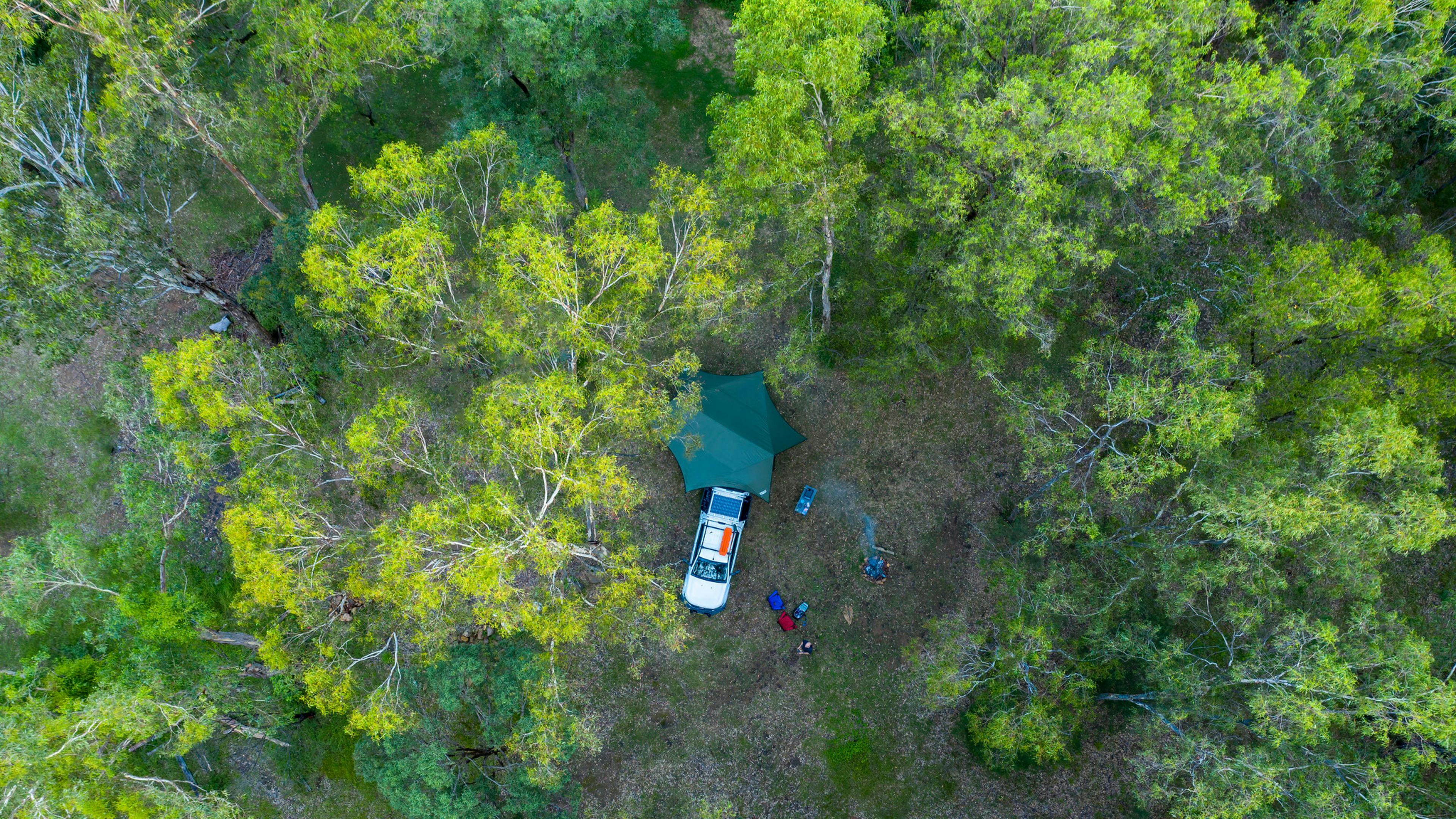 Peaceful up in the trees