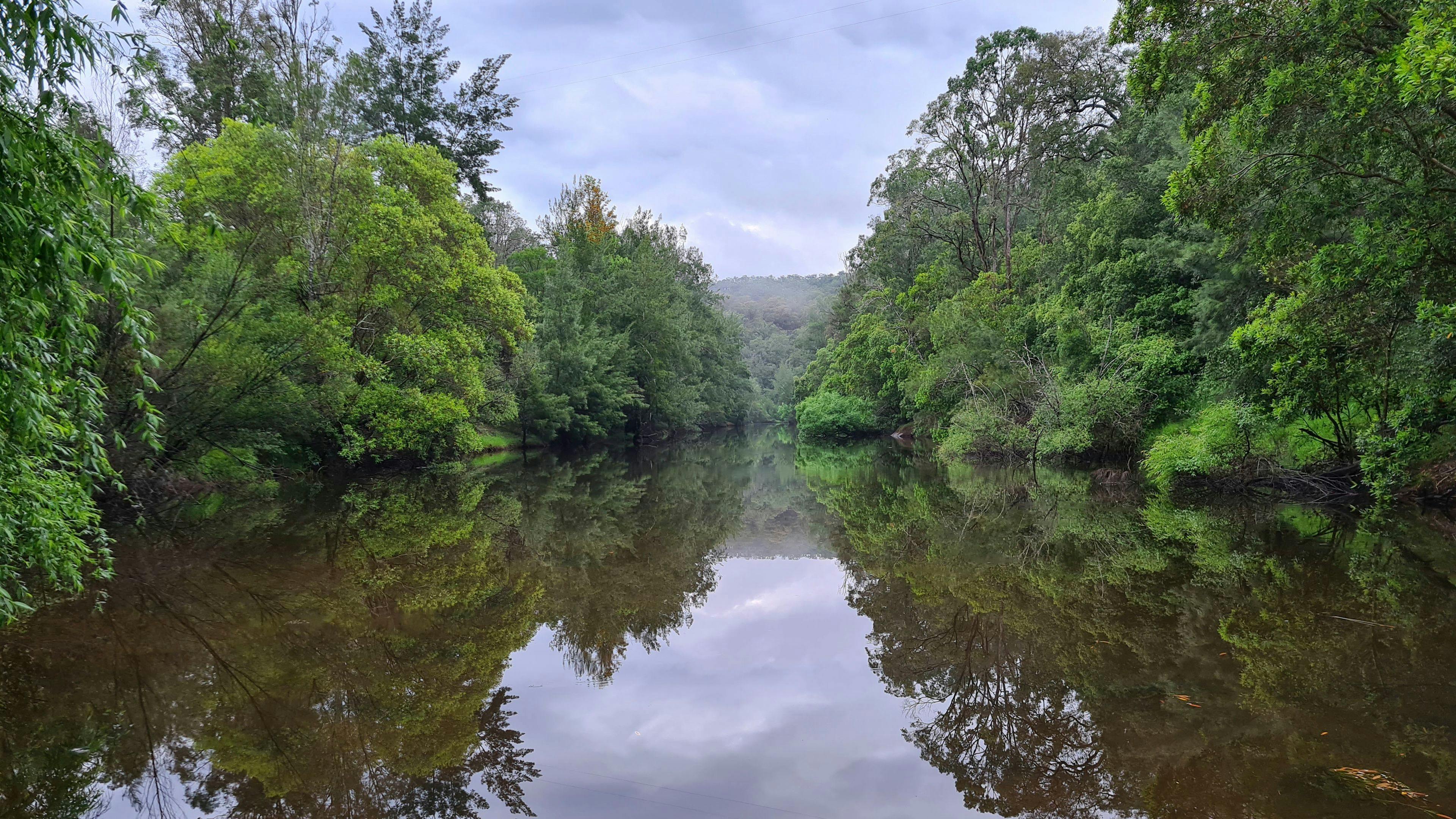 Wollombi Brook