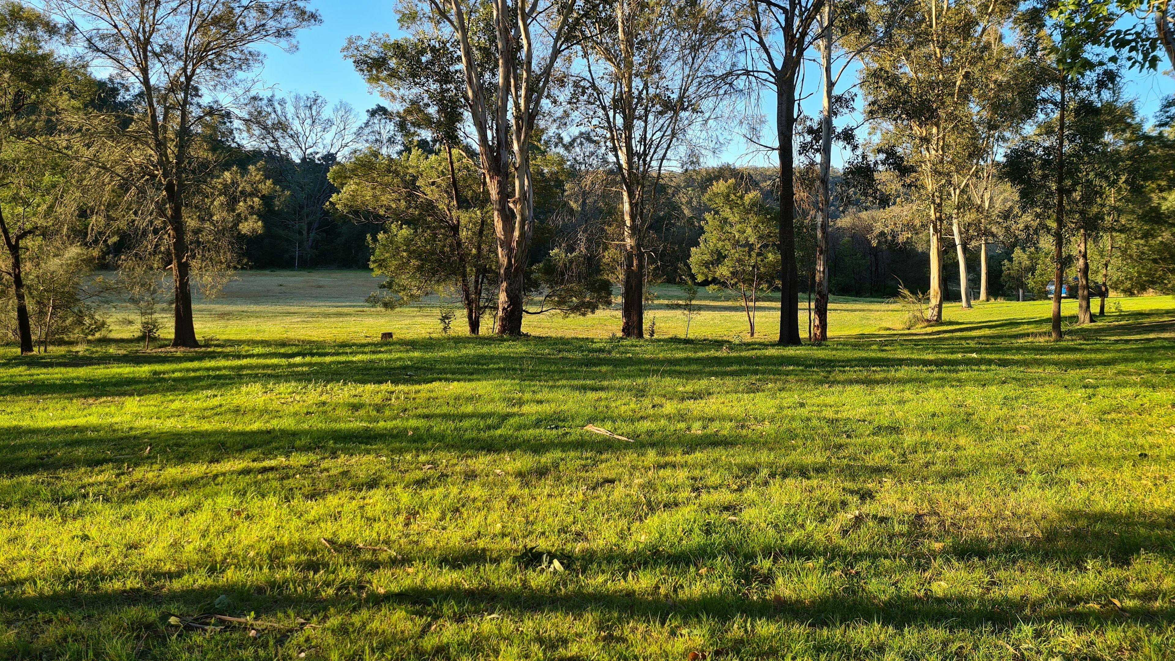 Camping site options