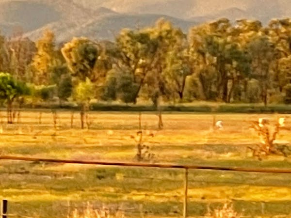 Waverley Historical Homestead