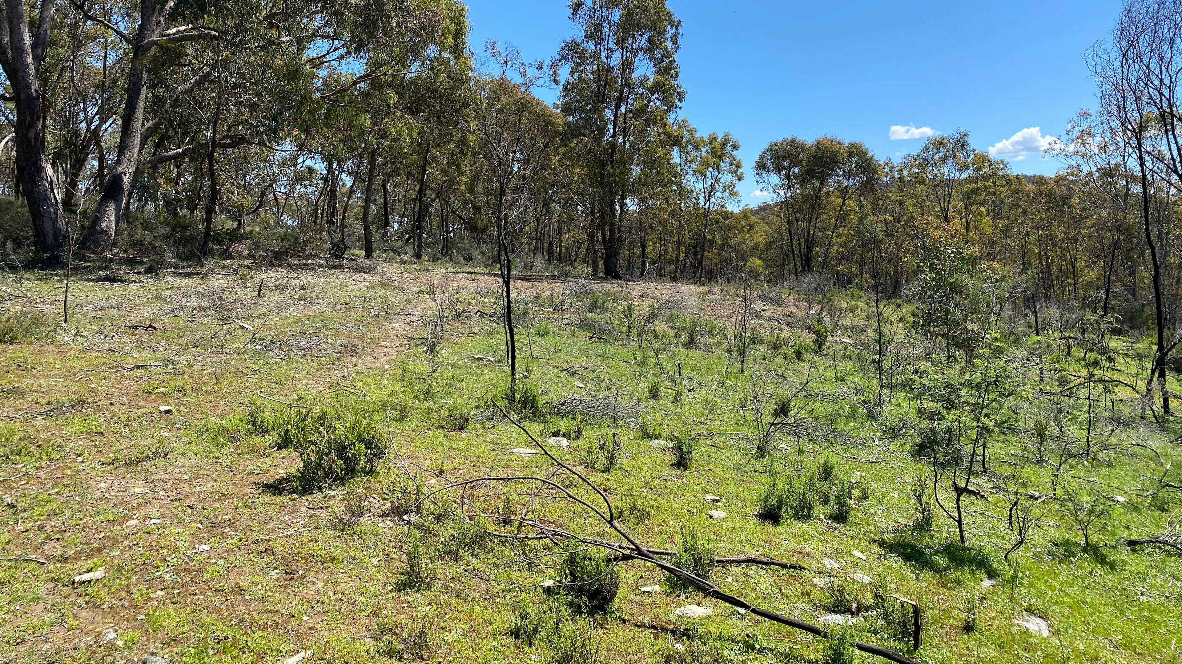Waykara Hilltop retreat