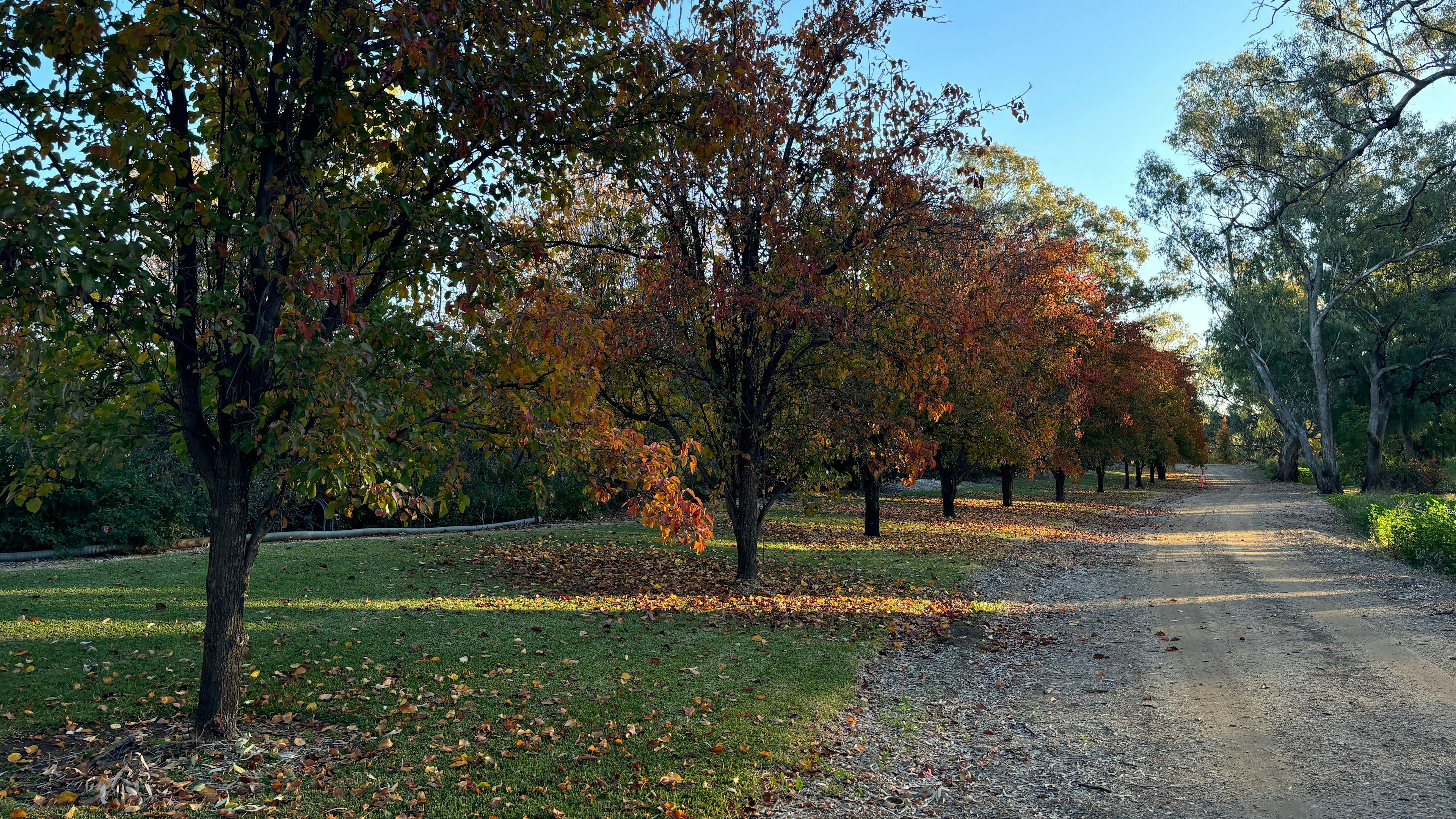Tarrawingee Farm - Curated Gardens
