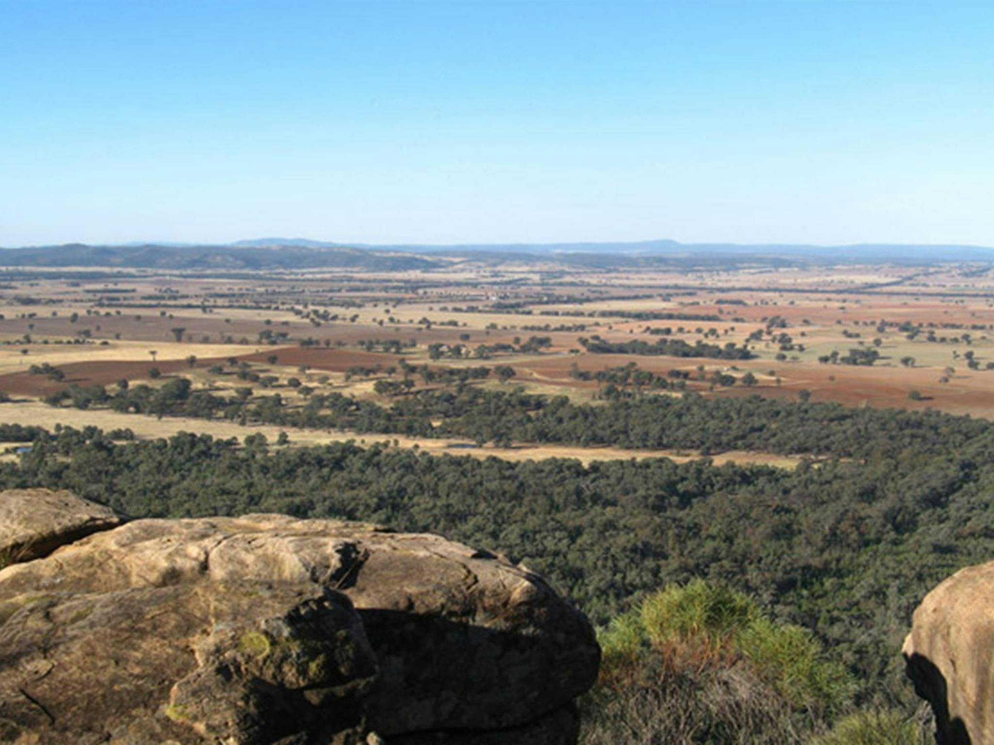 Weddin Mountains National Park