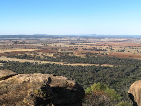 Weddin Mountains National Park