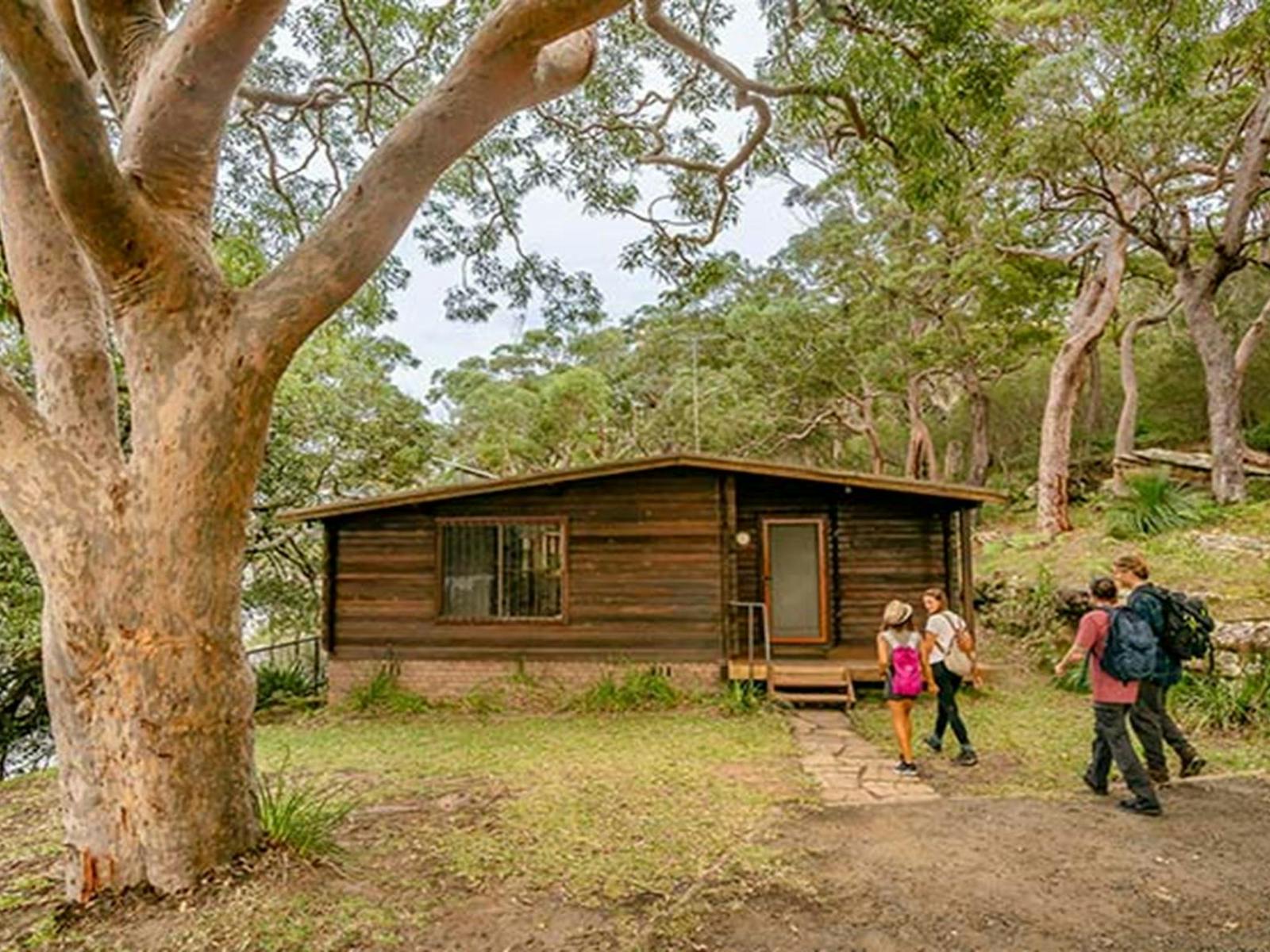 Four people walk towards Weemalah Cottage in Royal National Park. Photo: John Spencer/OEH