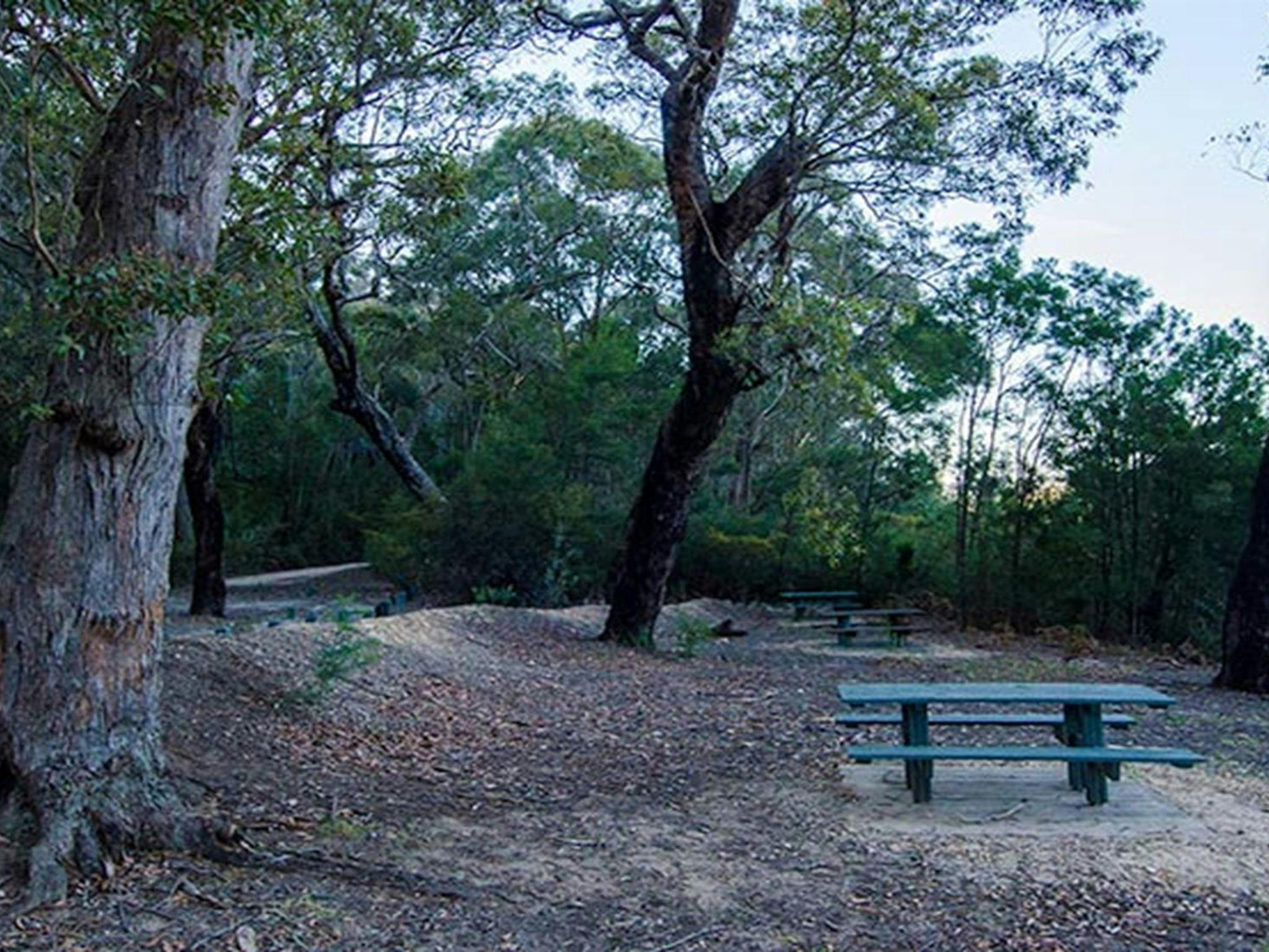 Werri Berri picnic area bench, Thirlmere Lakes National Park. Photo: John Spencer