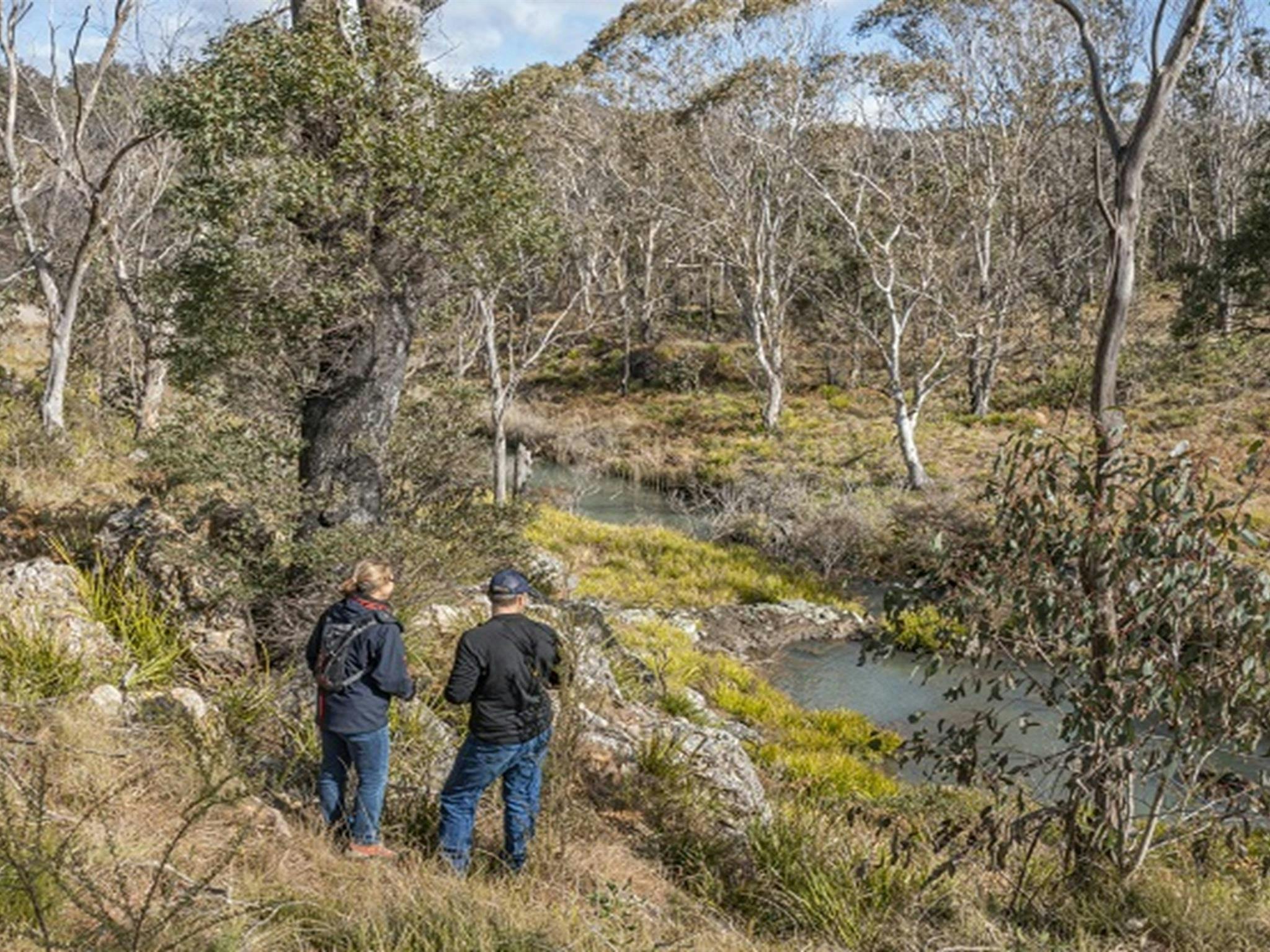 View of Platypus Pool from Platypus Pool walking track. Photo: Josh Smith &copy; DPE