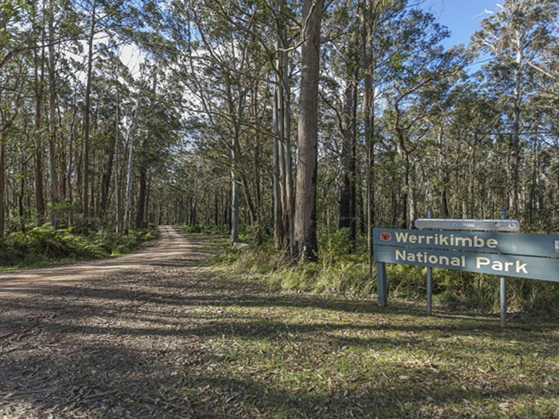 Park sign and tall trees, Werrikimbe National Park. Photo: Josh Smith © DPE