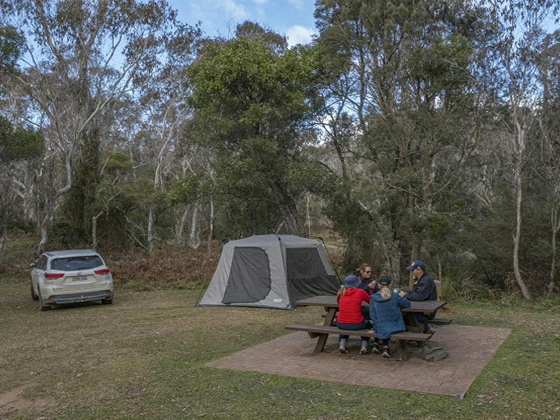 A family of campers enjoy a picnic by their tent, Werrikimbe National Park. Photo: Josh Smith ©