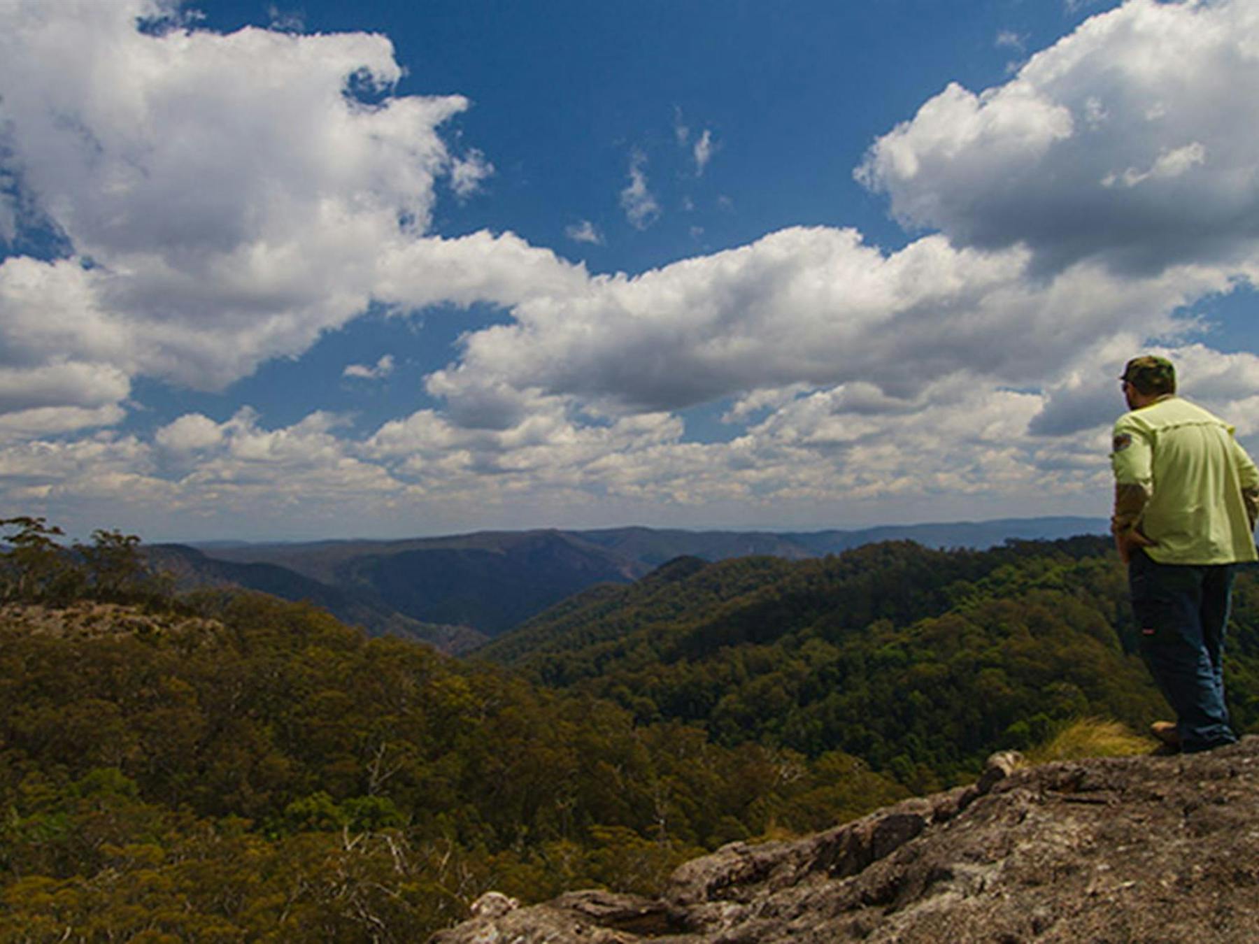 Hoppy lookout, Werrikimbe National Park. Photo: John Spencer © DPIE