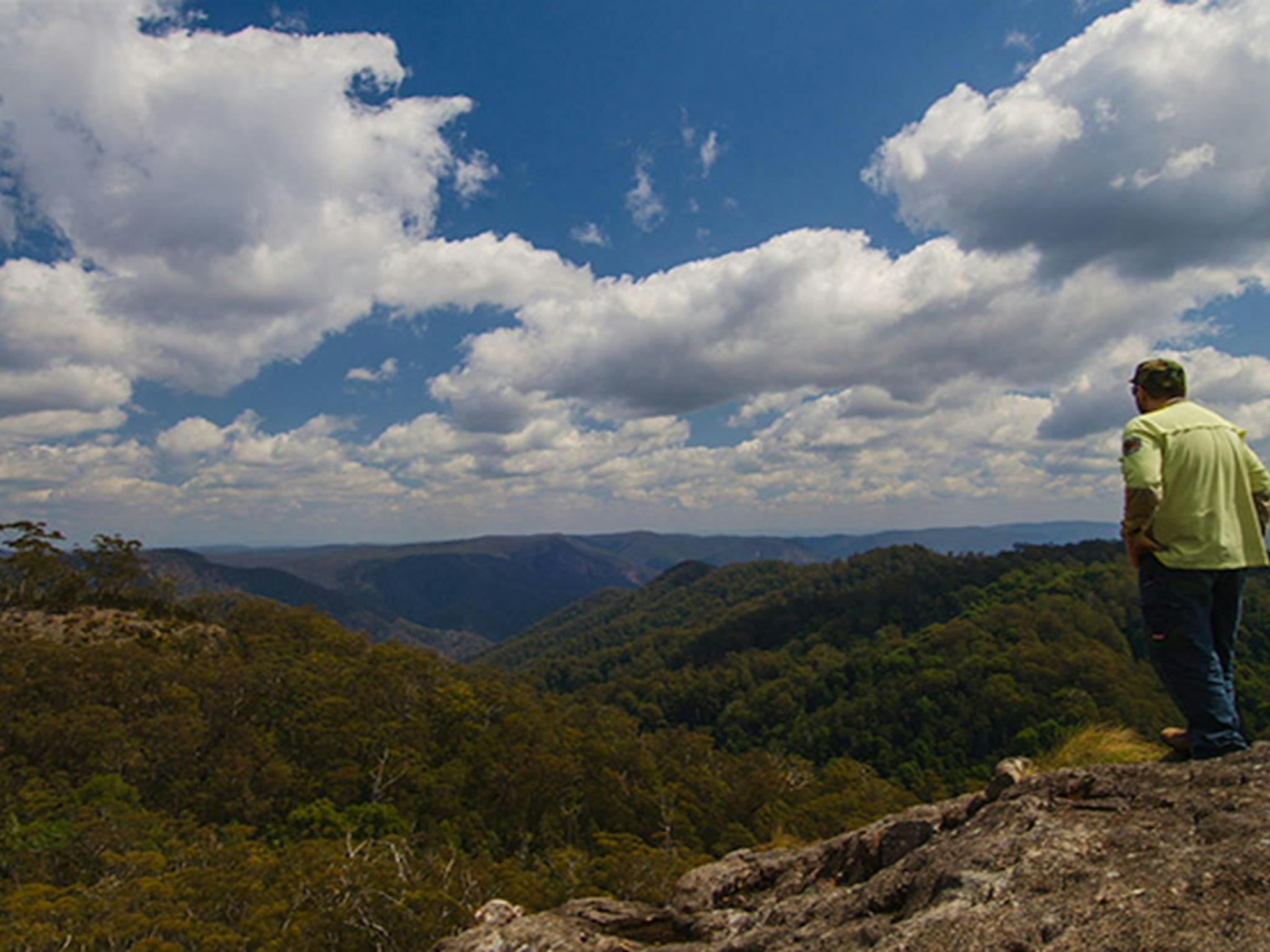 Hoppy lookout, Werrikimbe National Park. Photo: John Spencer &copy; DPIE