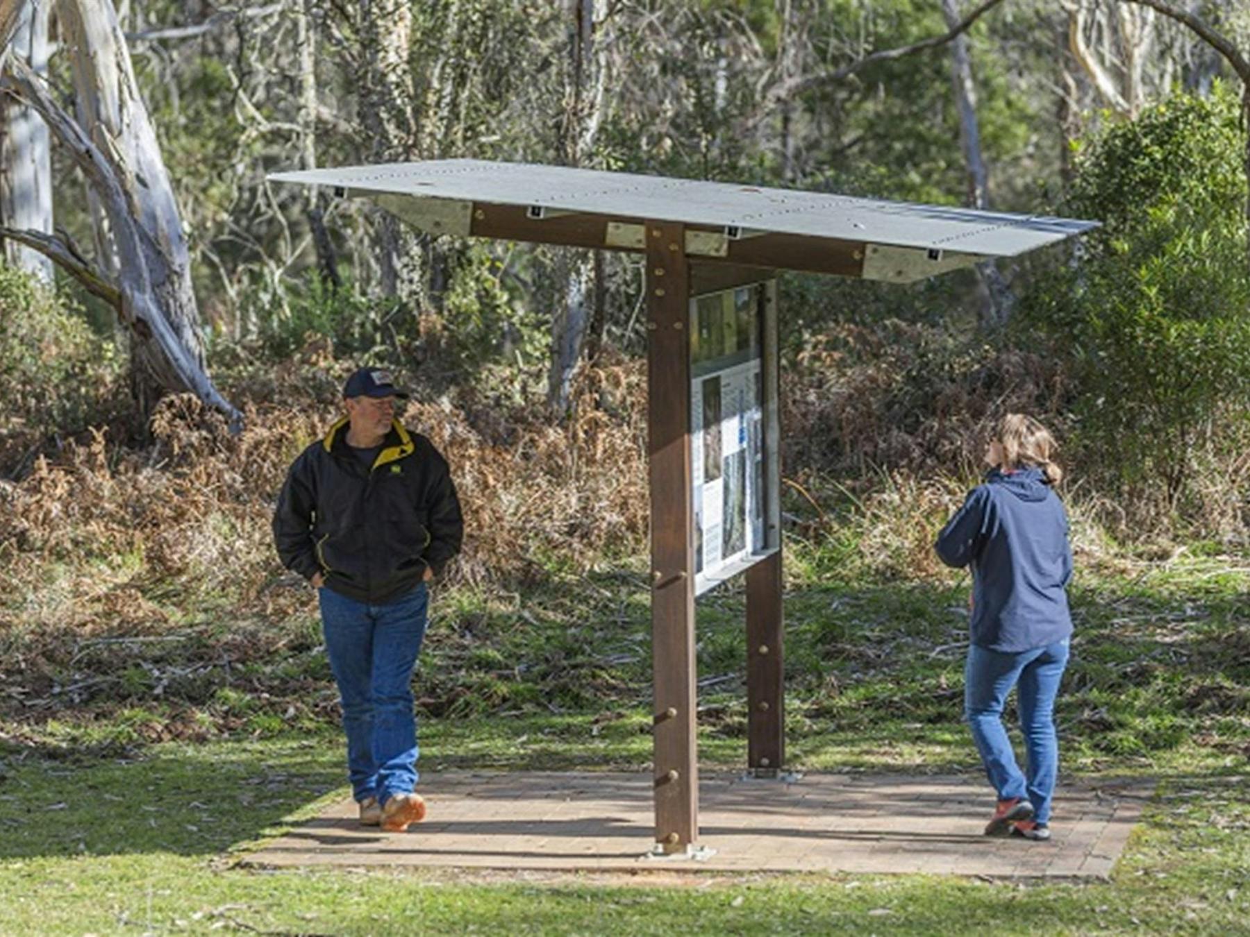 Visitors looking up park information, Werrikimbe National Park. Photo: Josh Smith © DPE