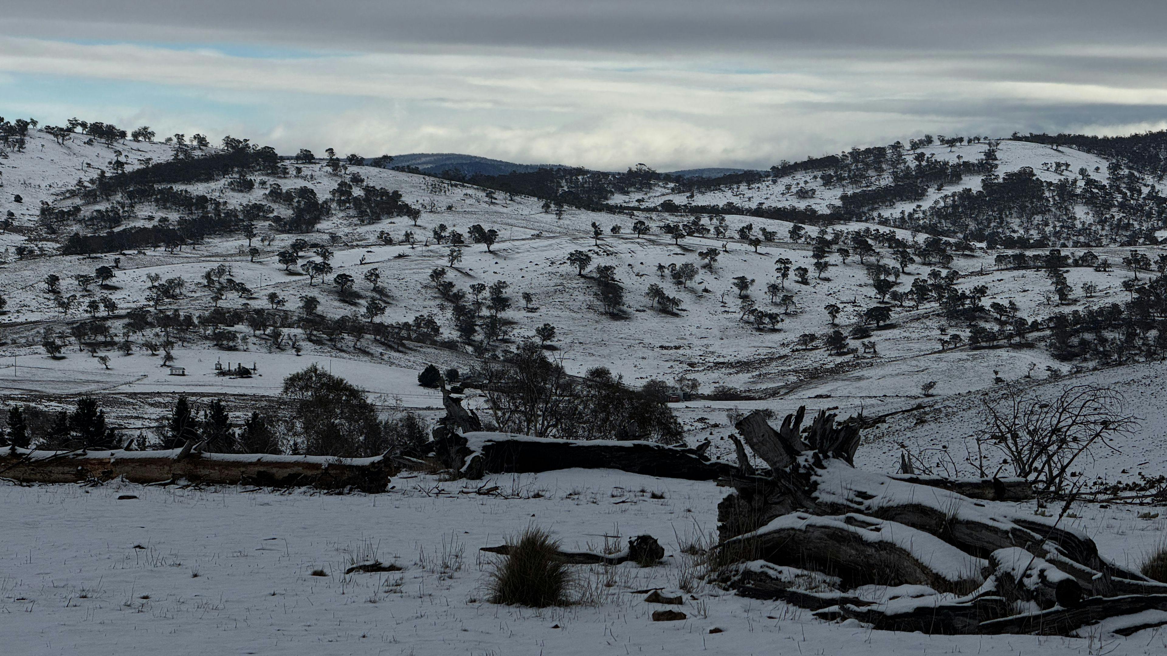 Wombat Pines - Private Camping