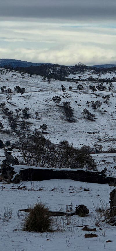 Wombat Pines - Private Camping