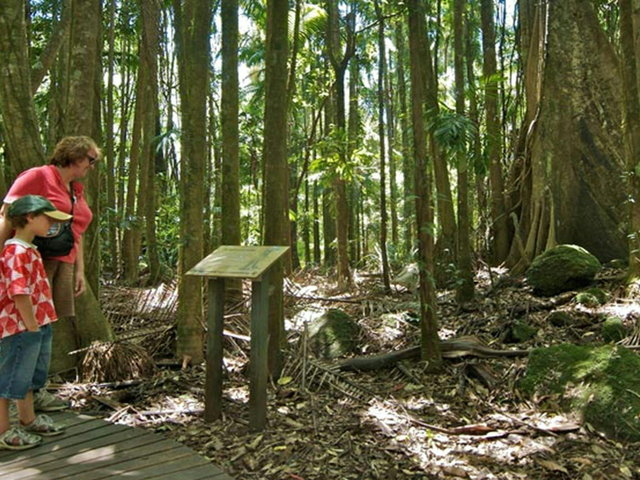 Protestors Falls Walking Track, Whian Whian State Conservation Area. Photo: John Spencer &copy: DPIE