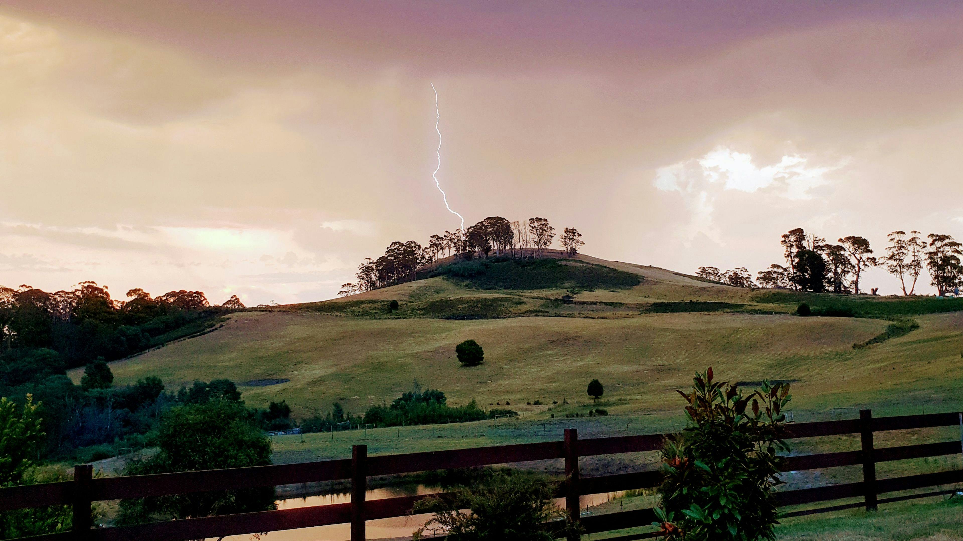 CLICK TO VIEW GALLERY