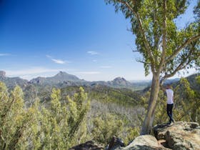 A man standing next to a tree looking at the Warrumbungle landscape at Whitegum lookout in
