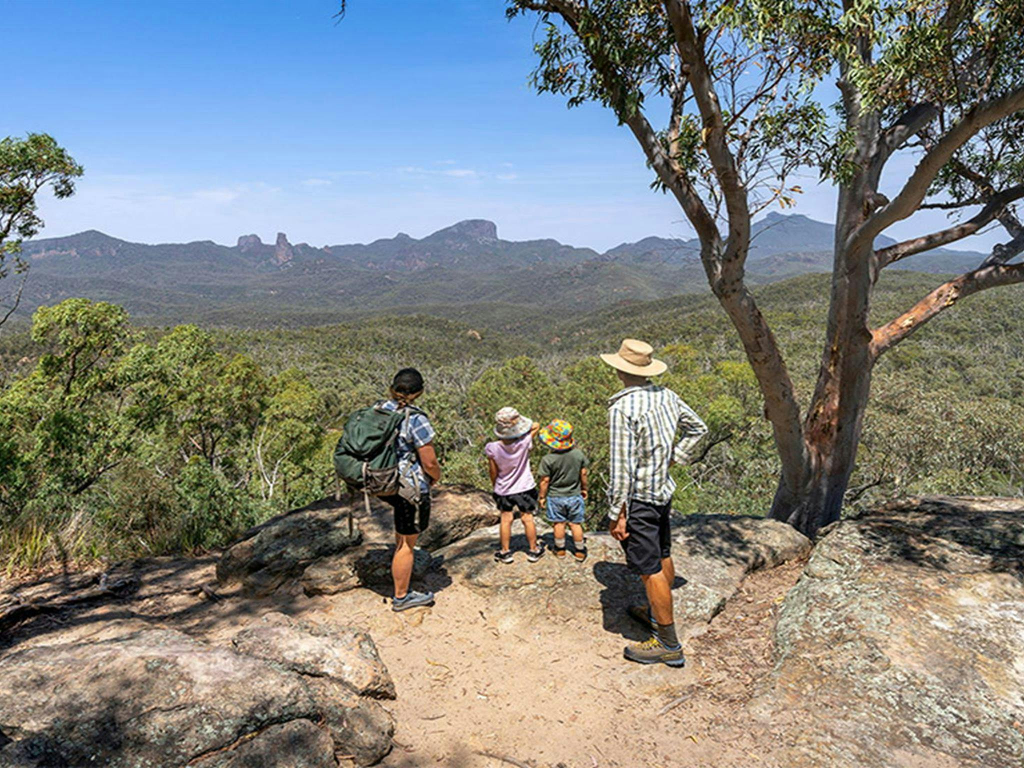 A family with young kids enjoying views of the volcanic landscape at Whitegum lookout. Credit: John