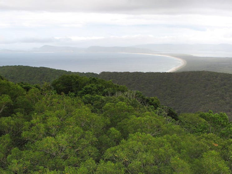 Whoota Whoota lookout, Wallingat National Park. Photo: Ian Charles/NSW Government