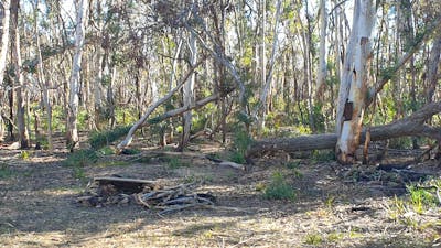 Enjoy sitting around a fire !