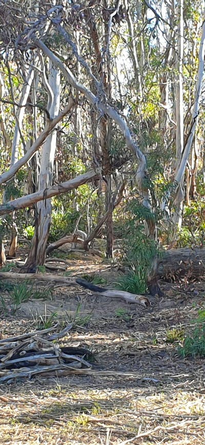 Enjoy sitting around a fire !