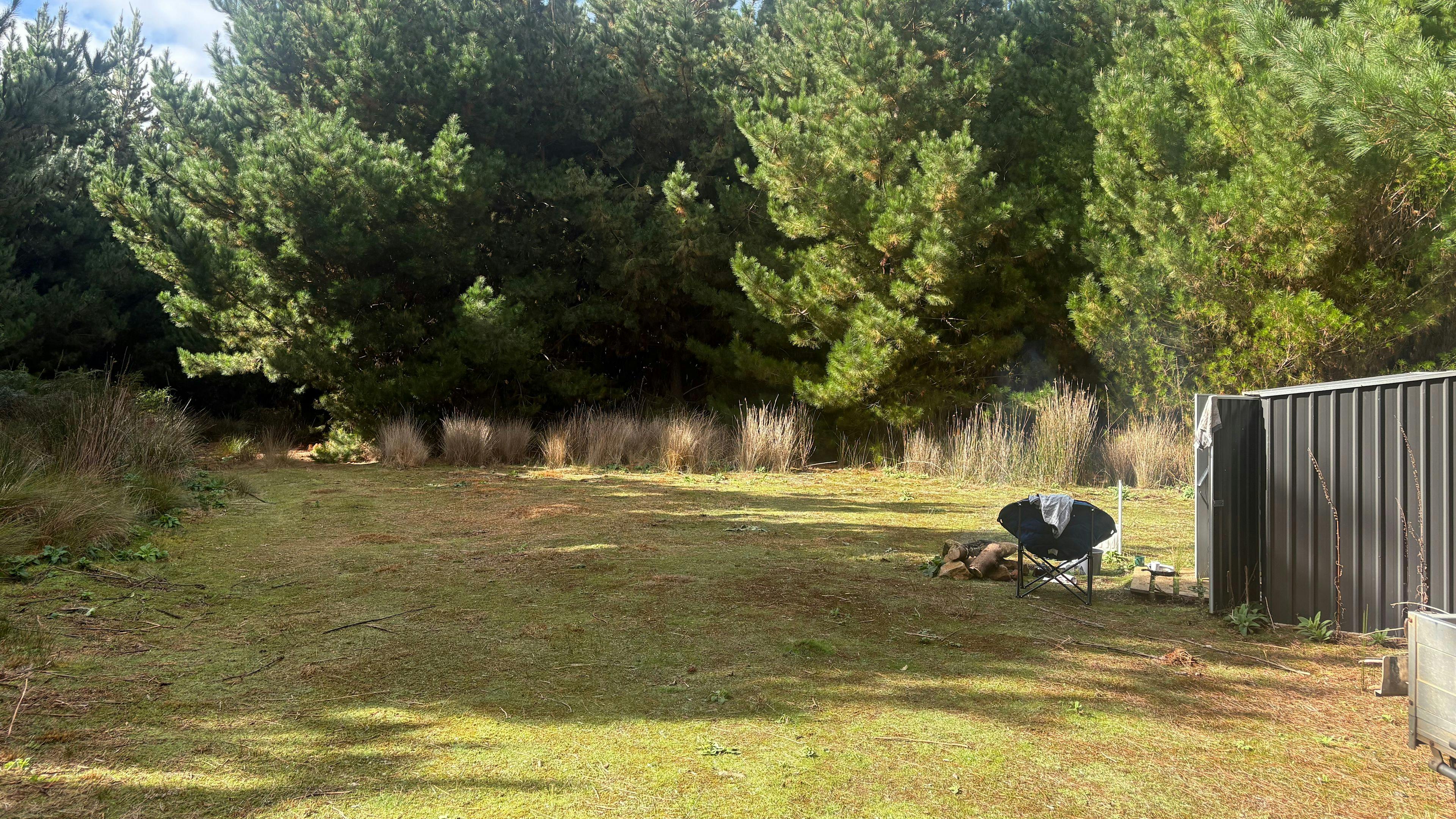Wild Pine Haven – Private Forest