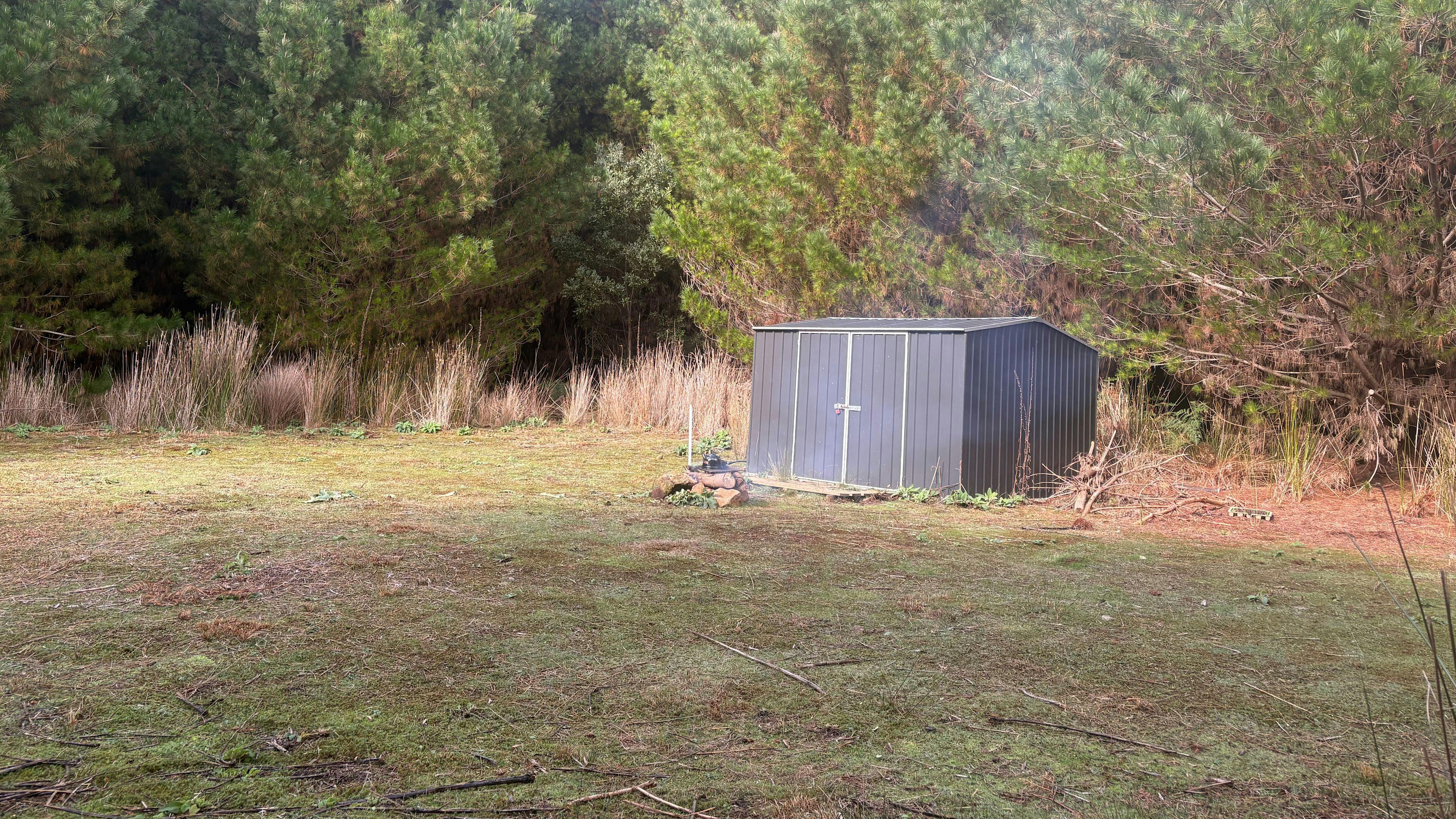 Wild Pine Haven – Private Forest