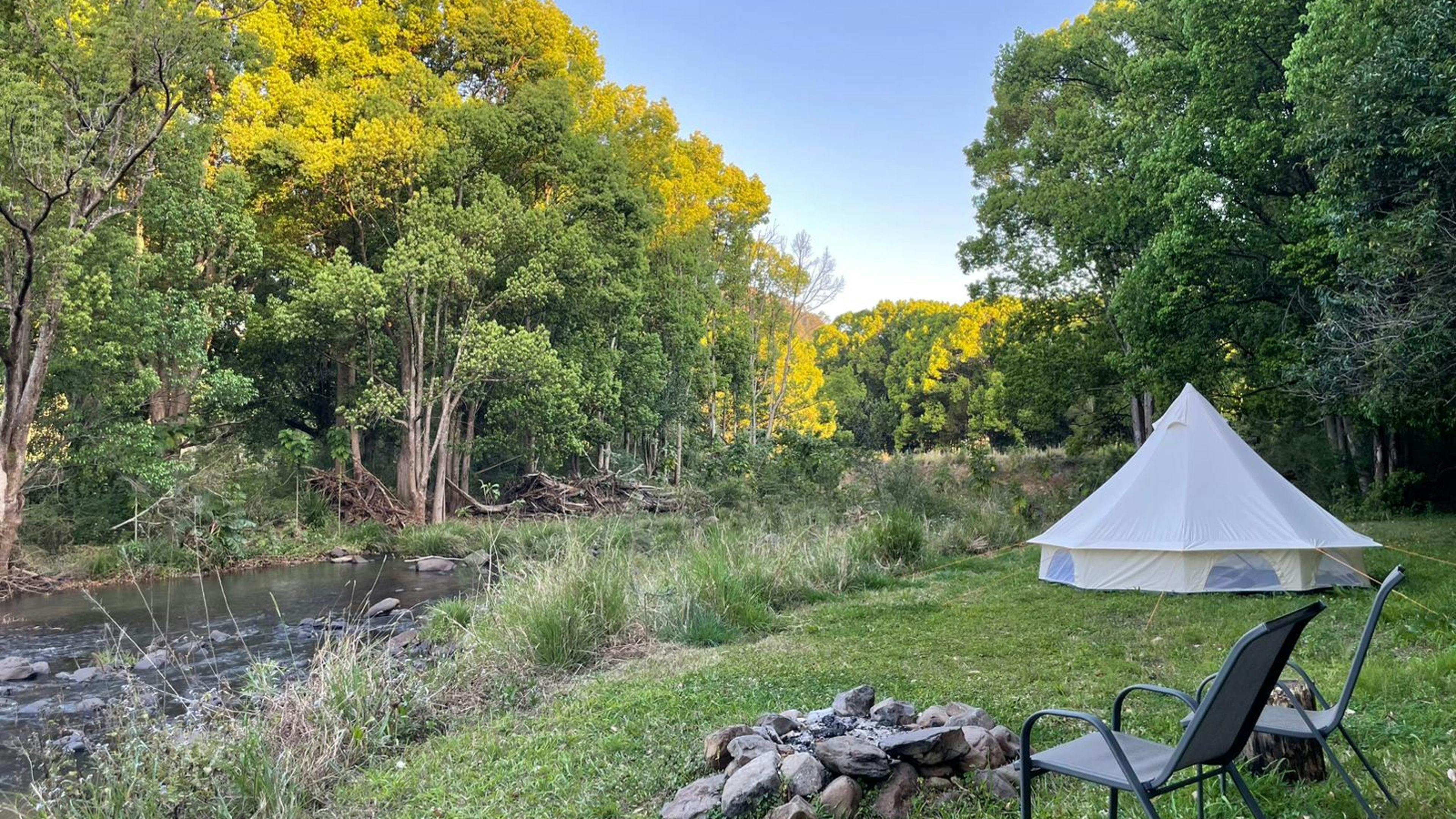 ワイルドランドホームステッド