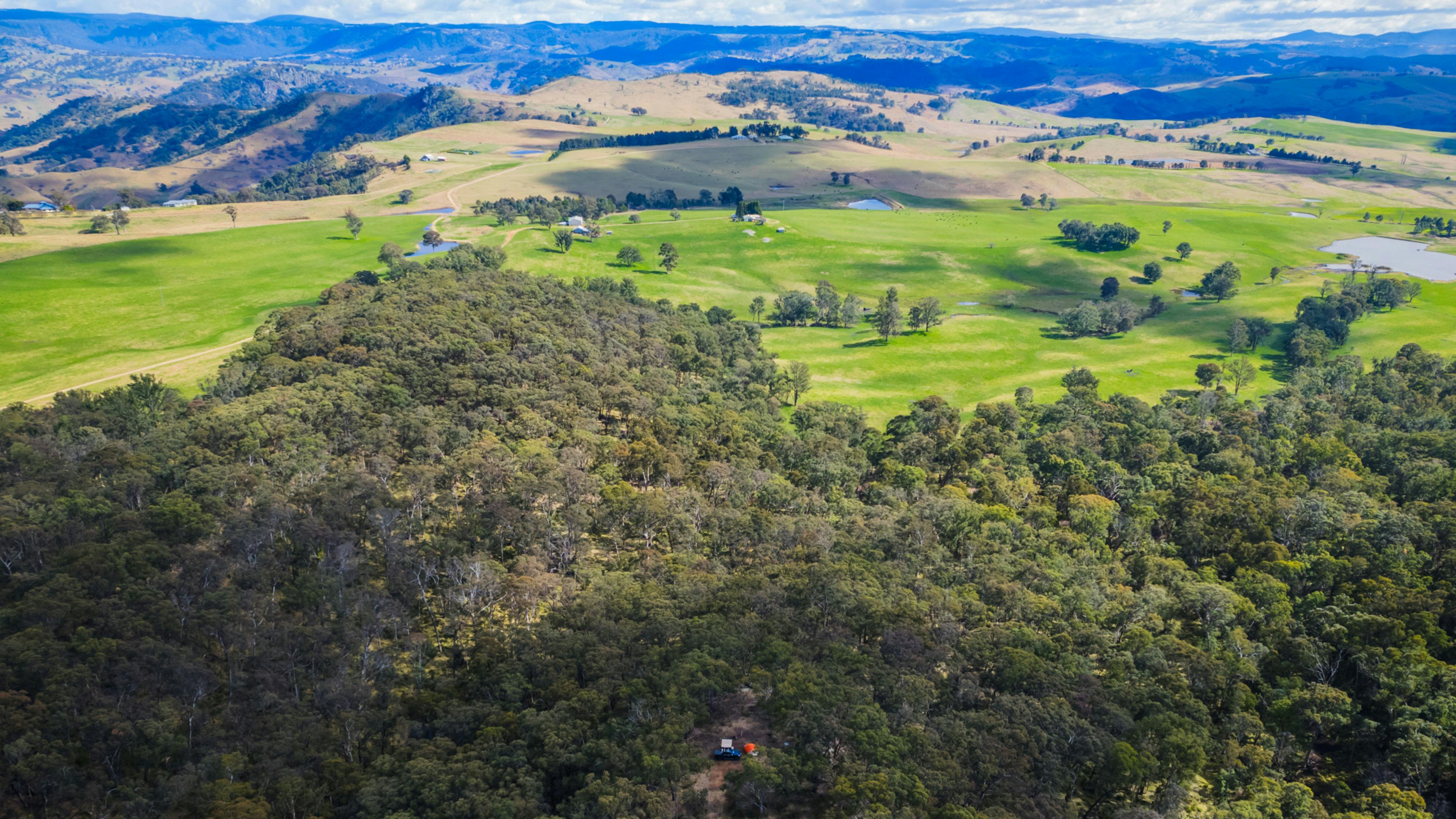 野生森林 - 私人灌木叢環繞
