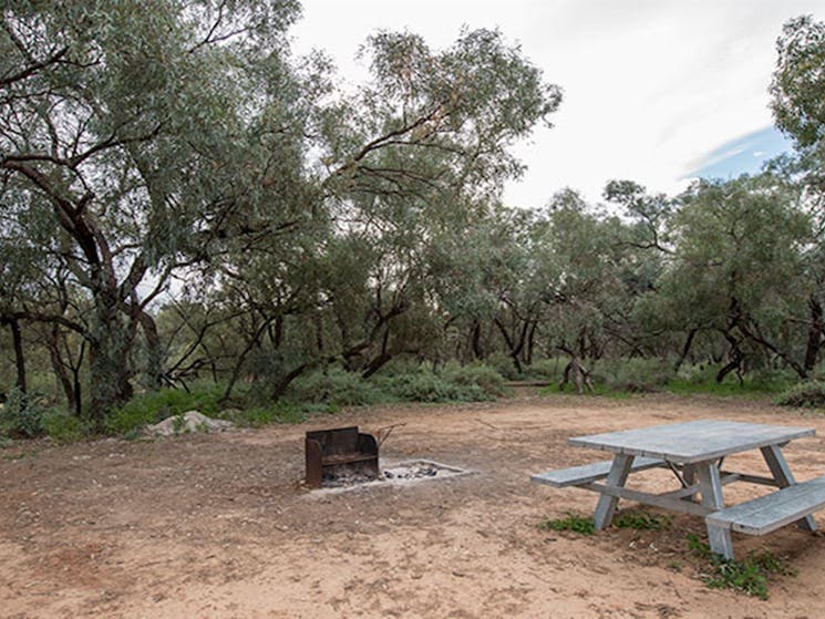 Willandra campground, Willandra National Park. Photo: John Spencer/NSW Government