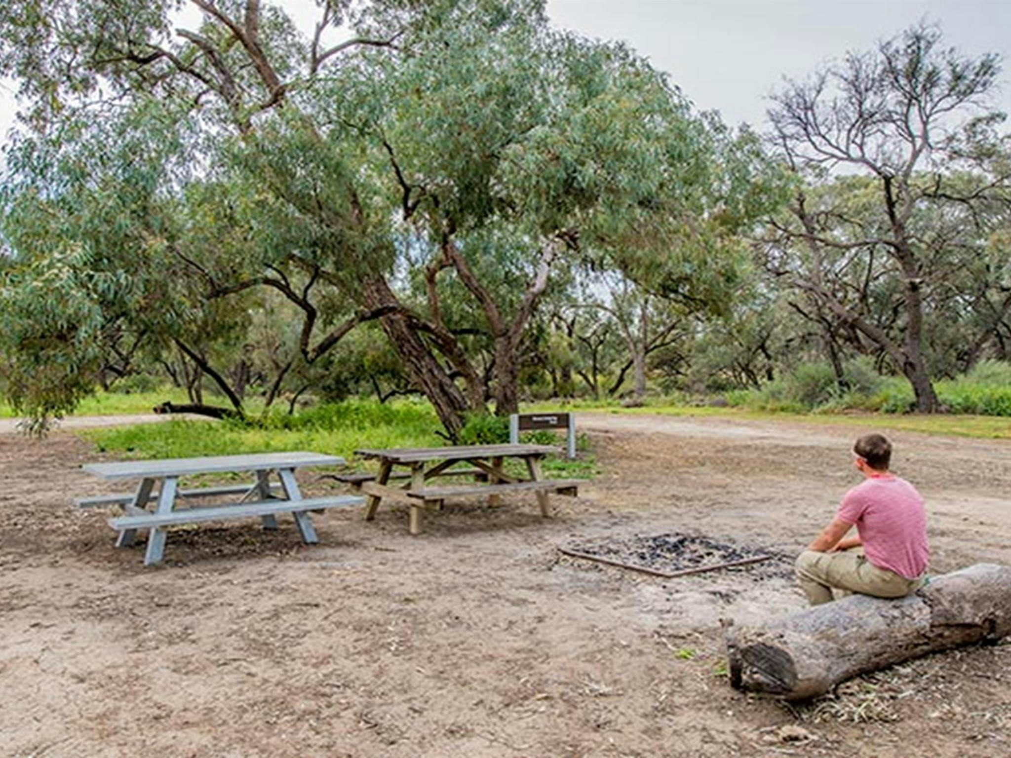 Willandra group campground