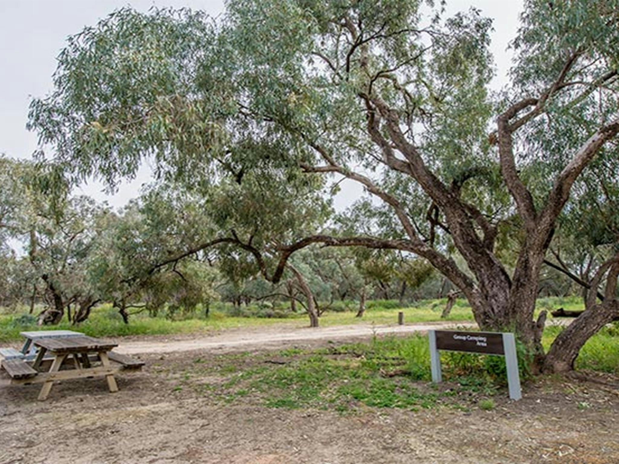 Gruppen-Campingplatz Willandra, Willandra-Nationalpark. Foto: John Spencer/Regierung von New South Wales