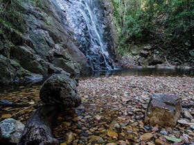 Waterfall, Willi Willi National Park. Photo: John Spencer © DPIE