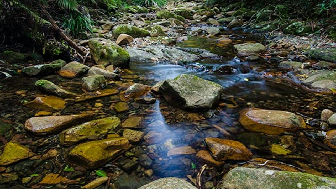 Willi Willi National Park