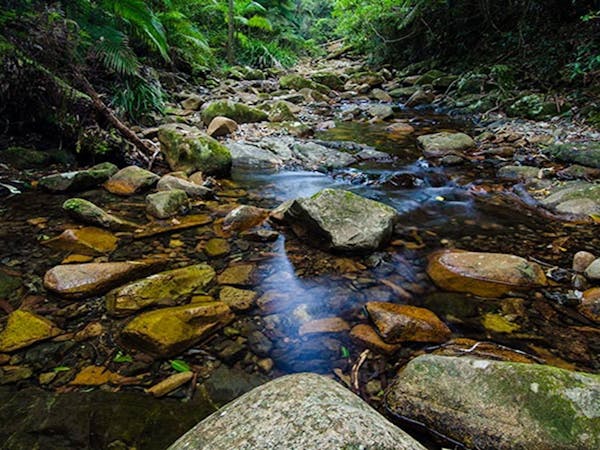 Willi Willi National Park