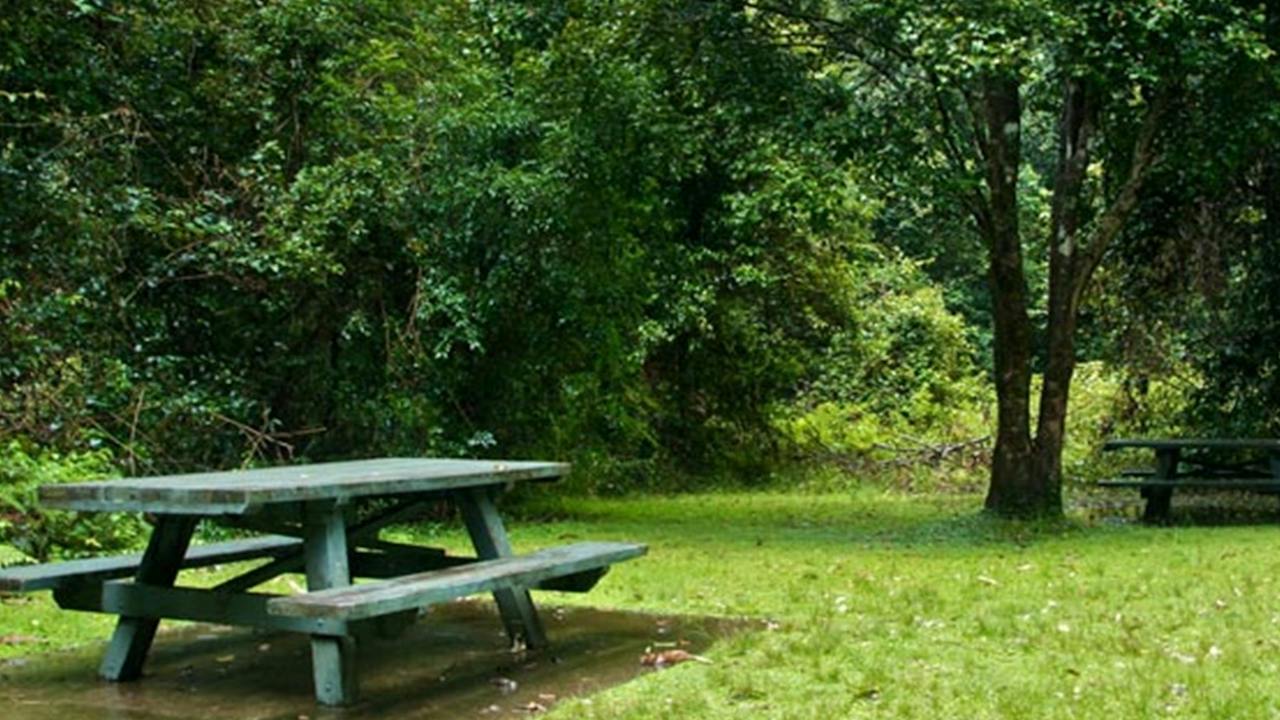 Williams River picnic area