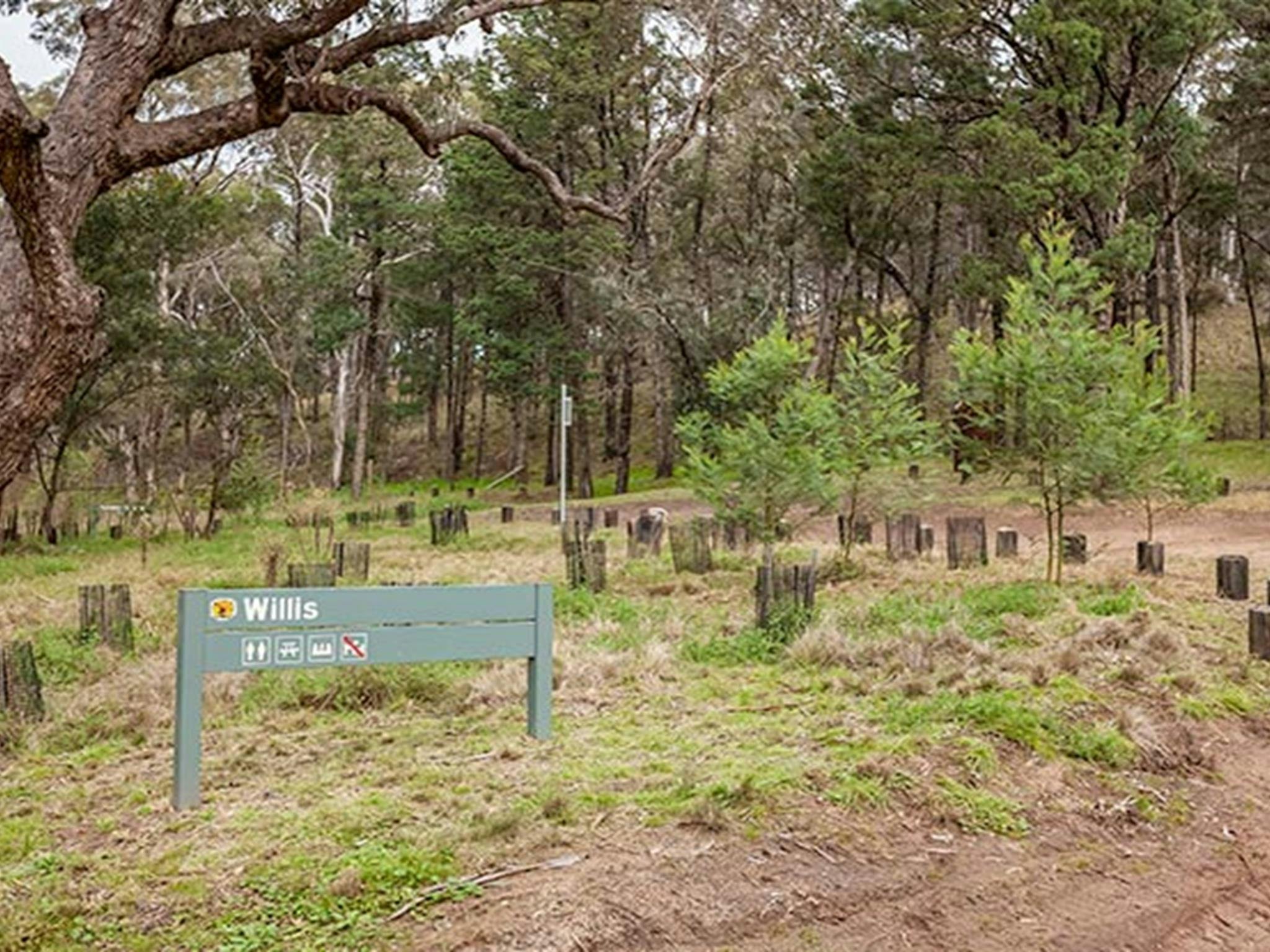 Willis picnic area
