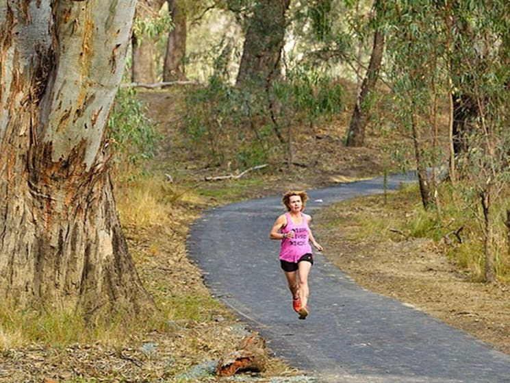 Visitor jogging in the Deniliquin area of Murray Valley Regional Park. Photo: Gavin Hansford/DPIE