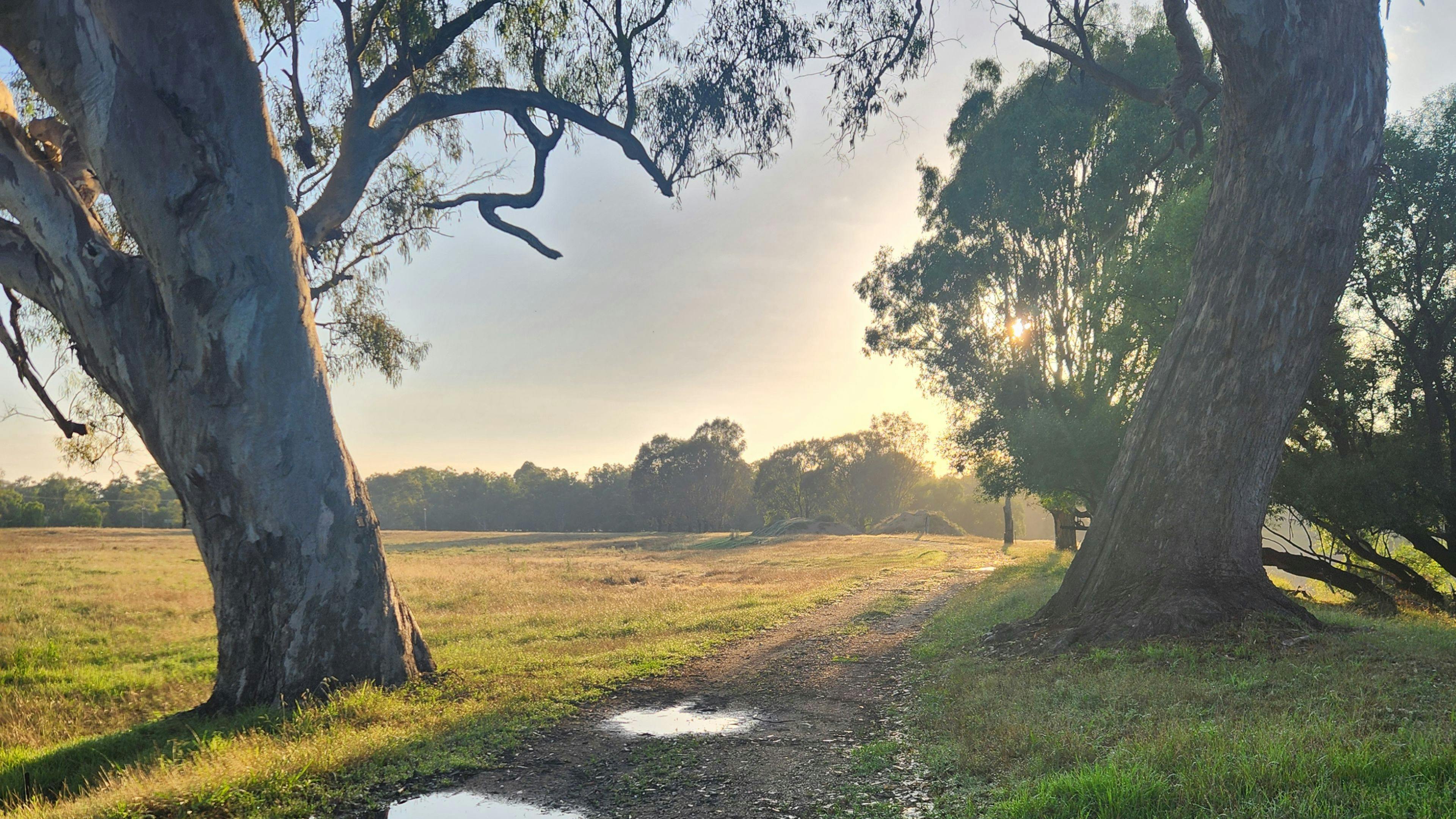 Willowbank on the Murray