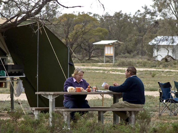 People at Willows campground and picnic area. Photo: Boris Hlavica/NSW Government